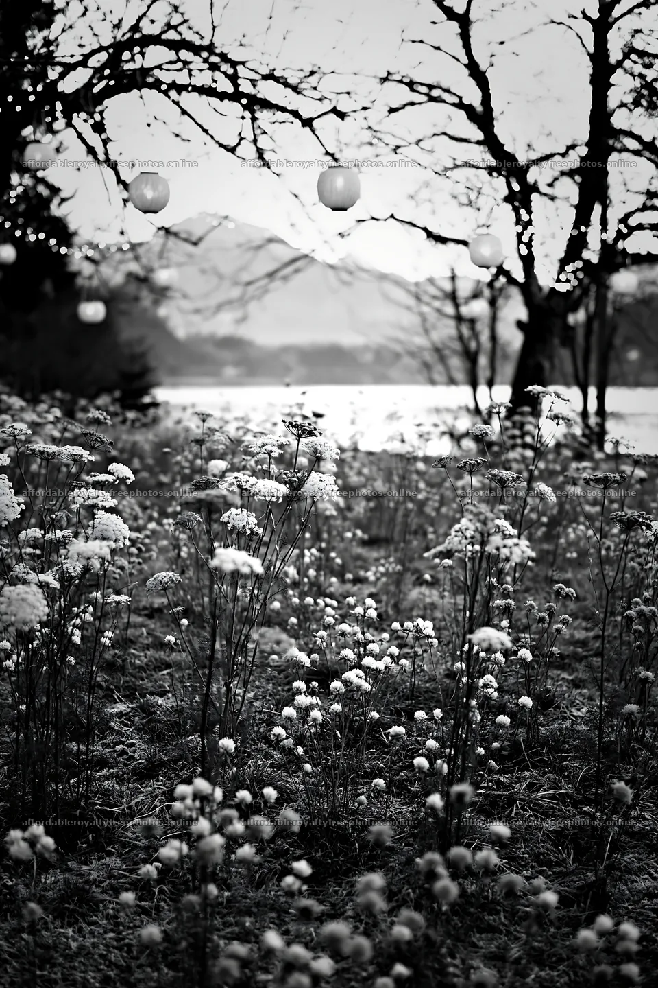 Christmas meadow with apple trees and lanterns by Lake – royalty-free photos 6480x9722