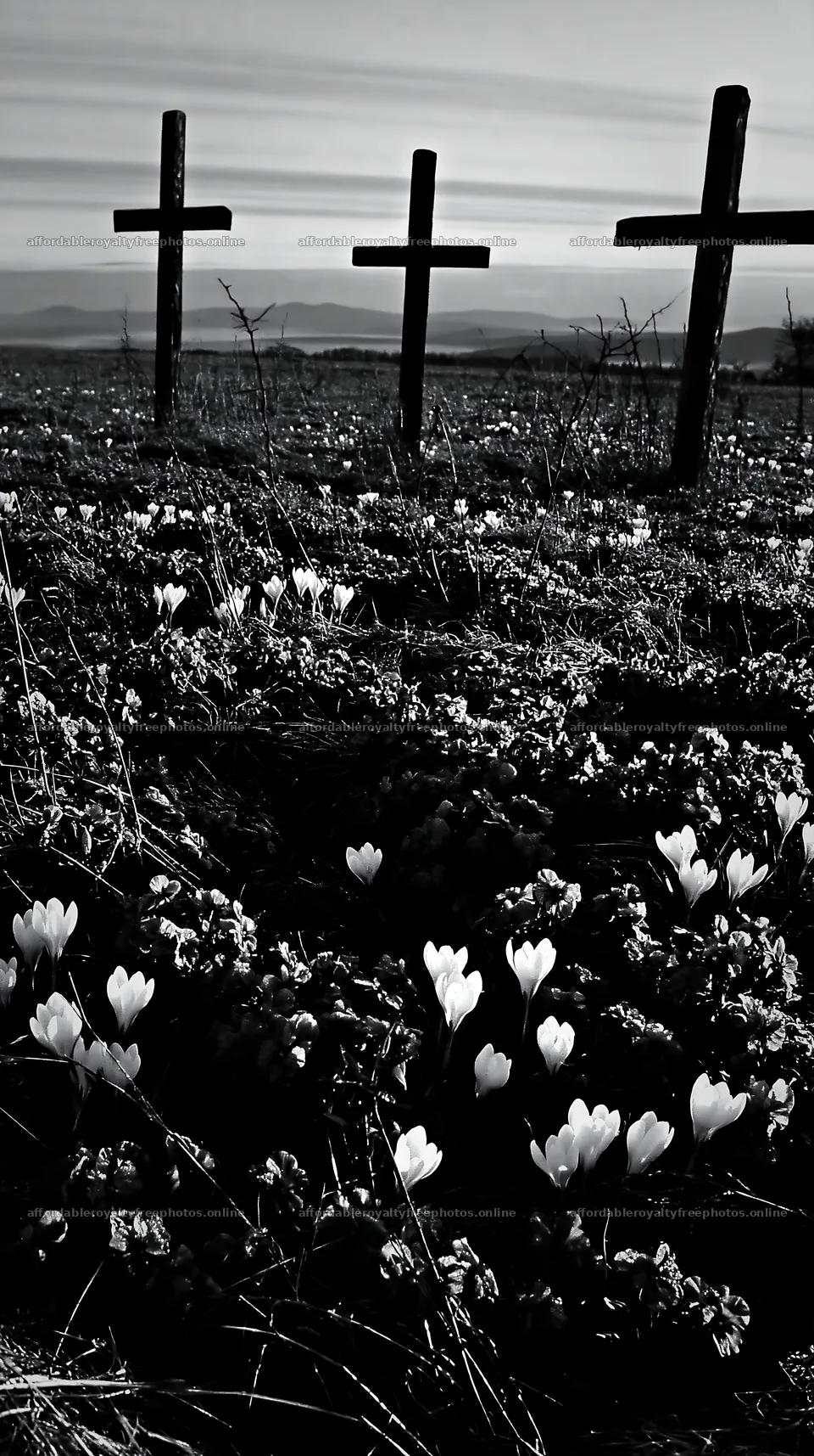 Rustic crosses in a winter meadow with blooming flowers – royalty-free photos 5938x10608