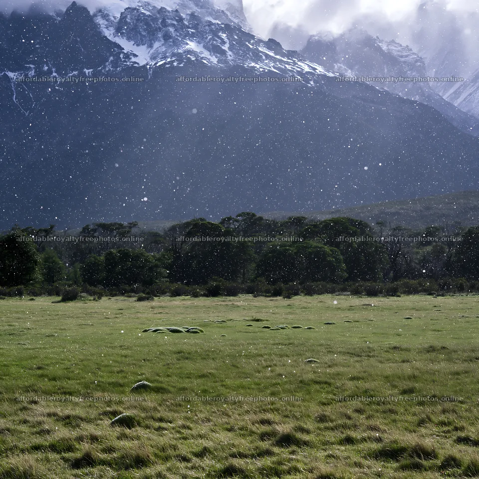 Torres del Paine meadow snow with mountains in the – royalty-free photos 7938x7938