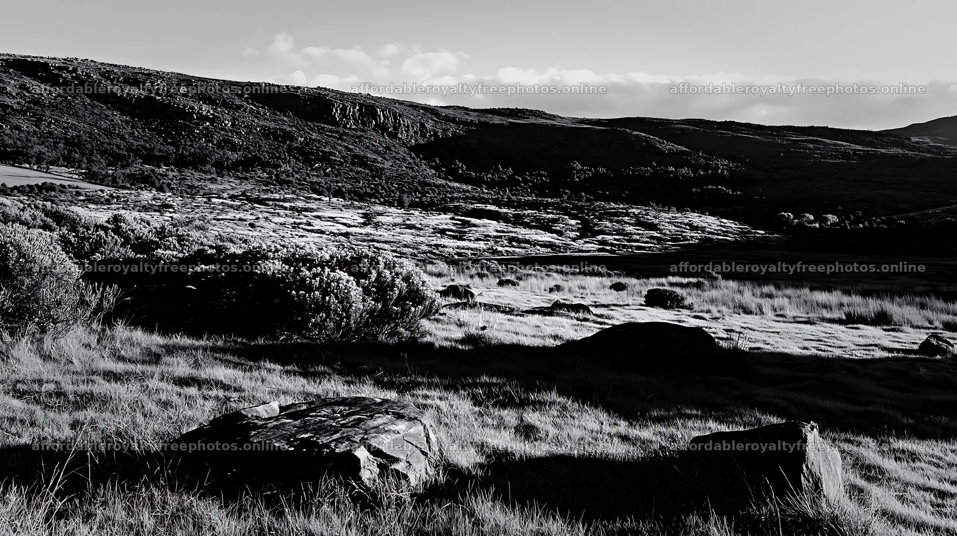 Biodiverse meadow with rocks and hills in black and white – royalty-free photos 10608x5938