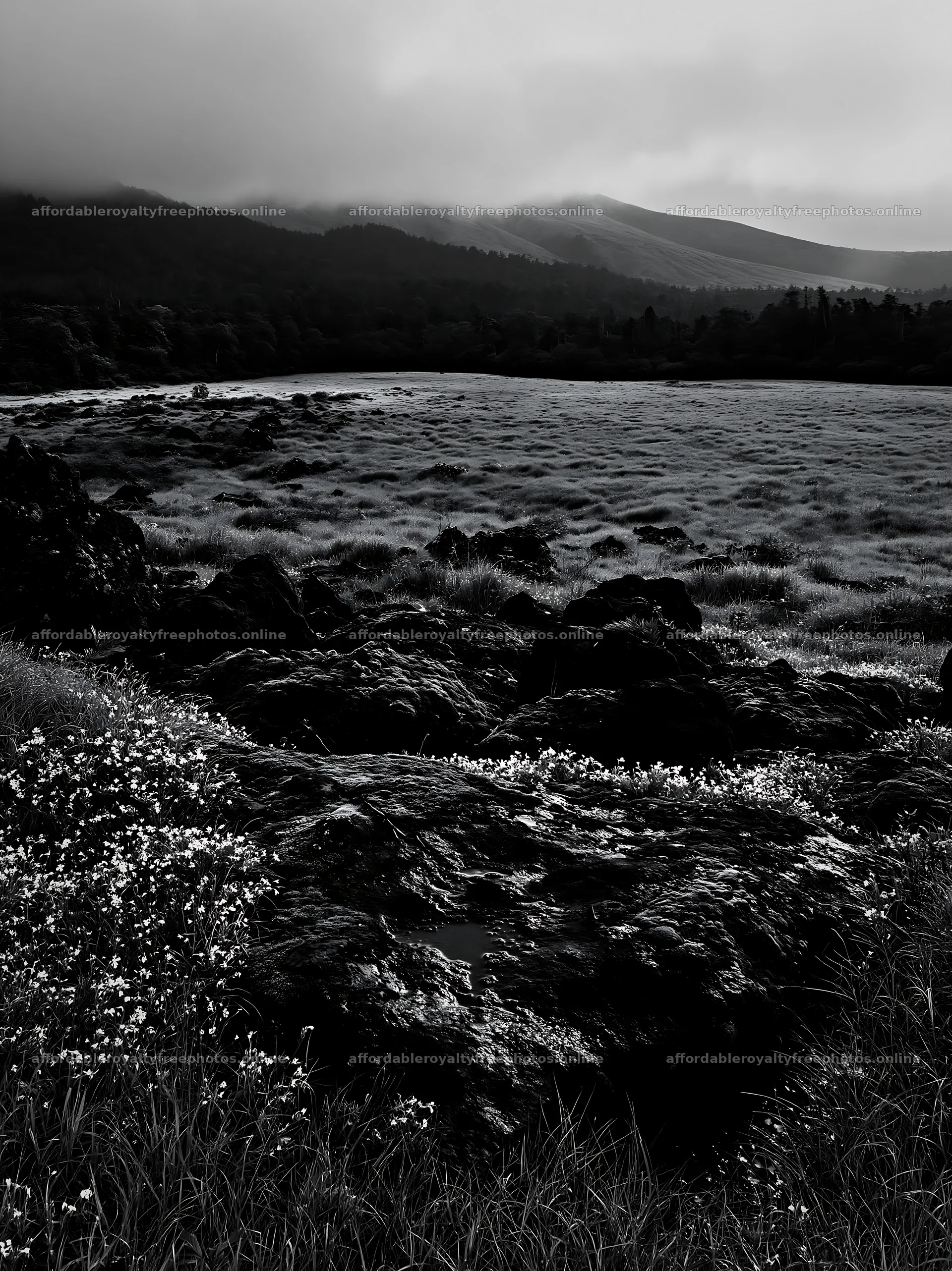 Miyagi spring recovery meadow mossy stone with rocks and – royalty-free photos 6866x9174