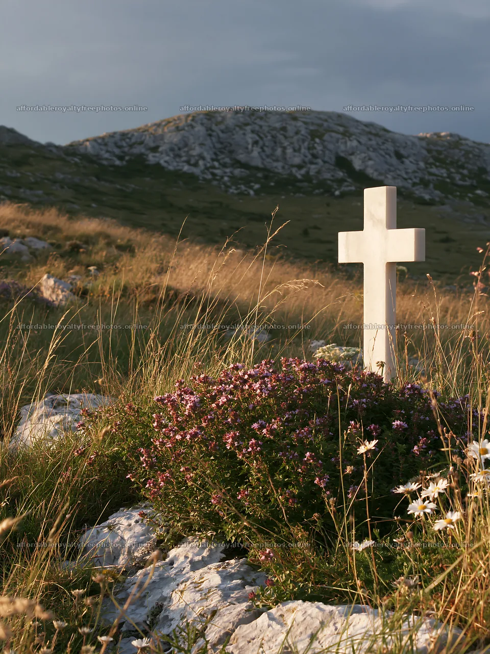 White Christian cross in meadow with flowers at sunset – royalty-free photos 6866x9174