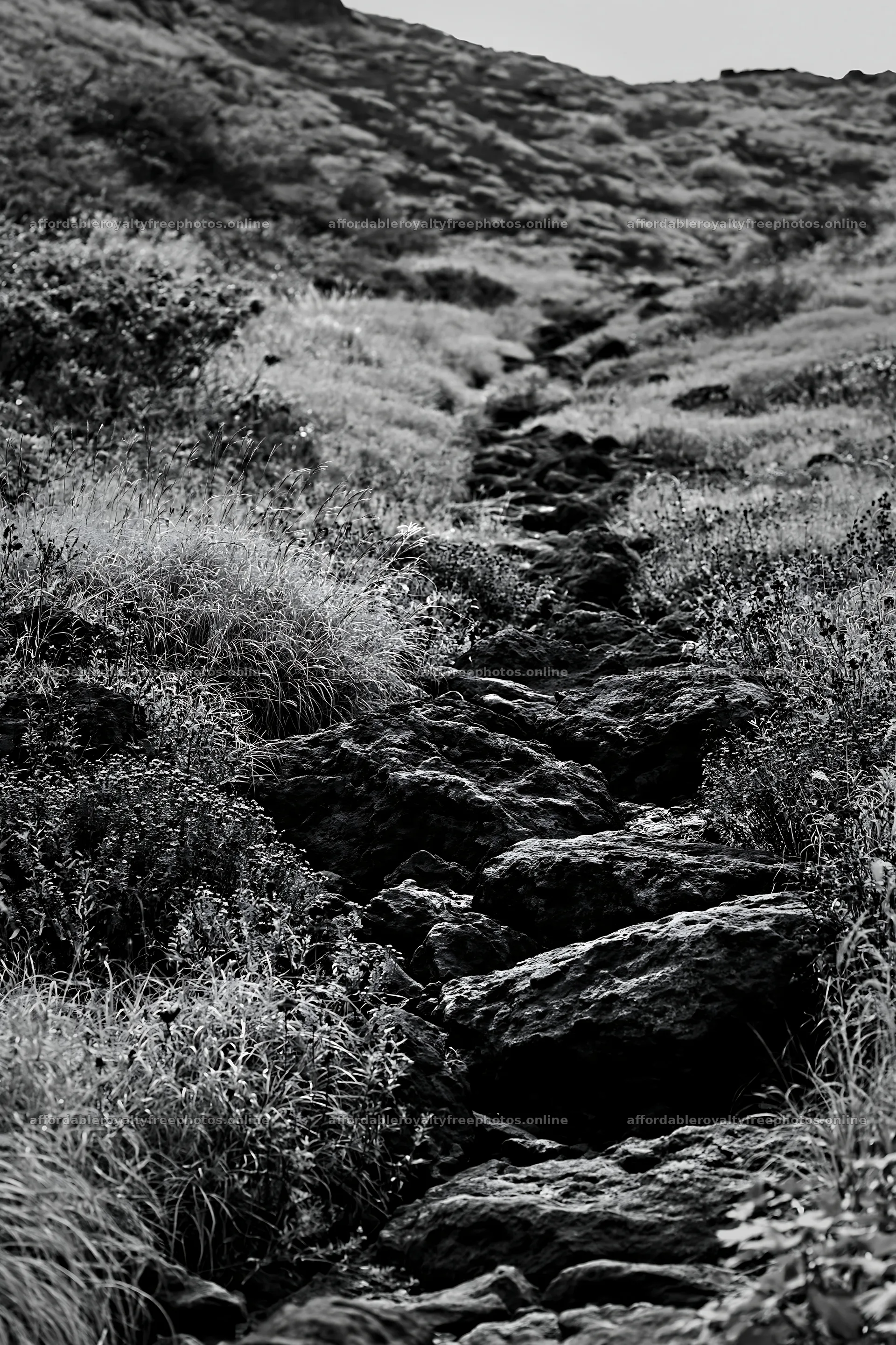 Kanagawa heat resilient meadow volcanic stones on a – royalty-free photos 6480x9722