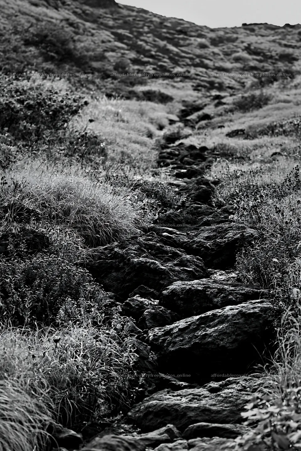 Kanagawa heat resilient meadow volcanic stones on a – royalty-free photos 6480x9722
