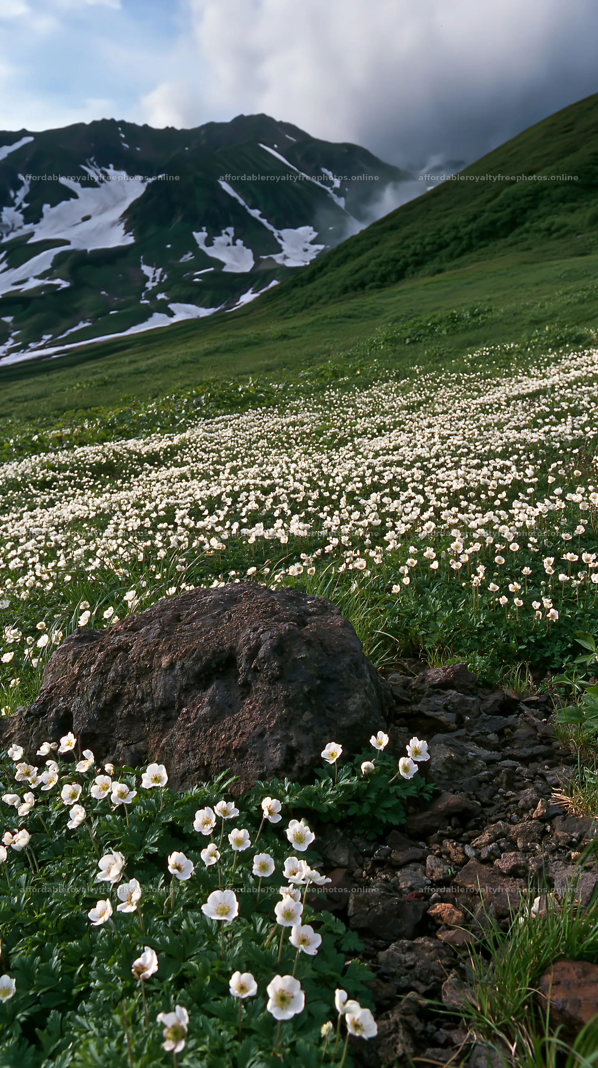Snowmelt rock foreground in Toyama alpine meadow with – royalty-free photos 5938x10608