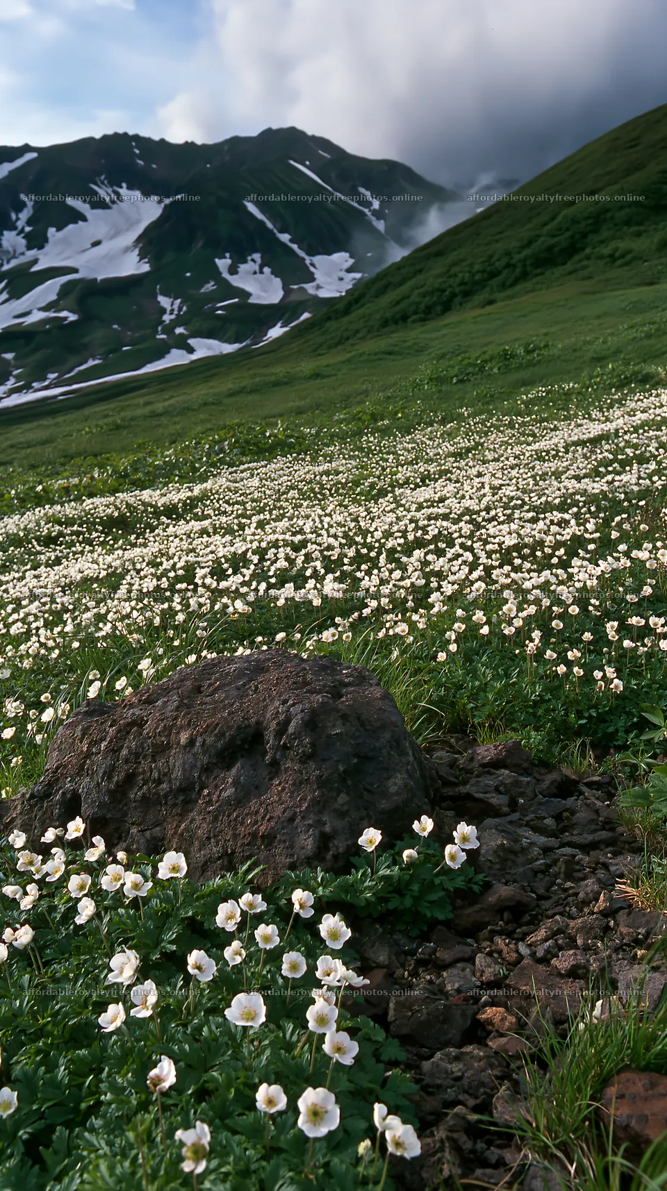 Snowmelt rock foreground in Toyama alpine meadow with – royalty-free photos 5938x10608