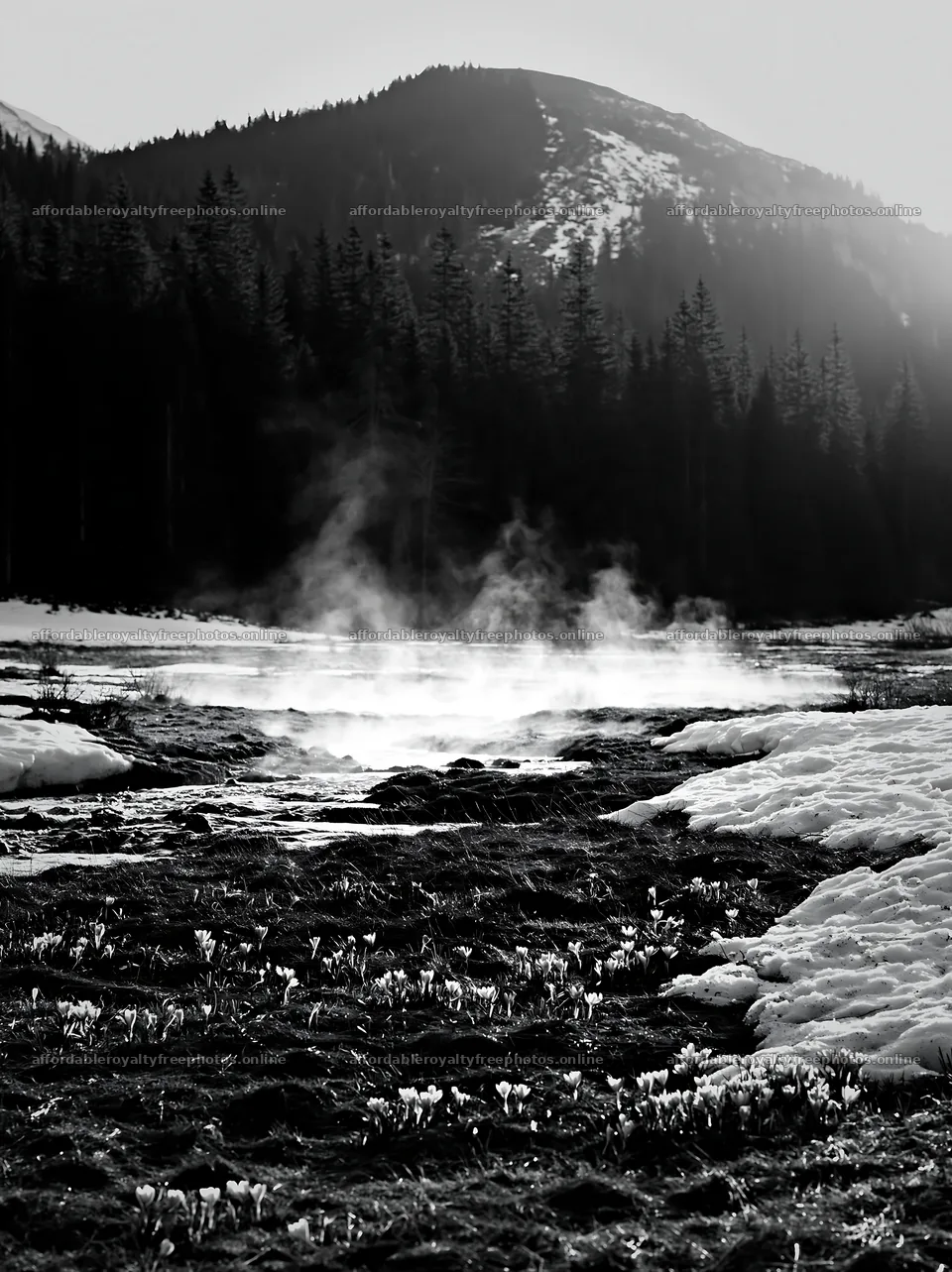 Snowmelt meadow with steam rising in mountain landscape – royalty-free photos 6866x9174