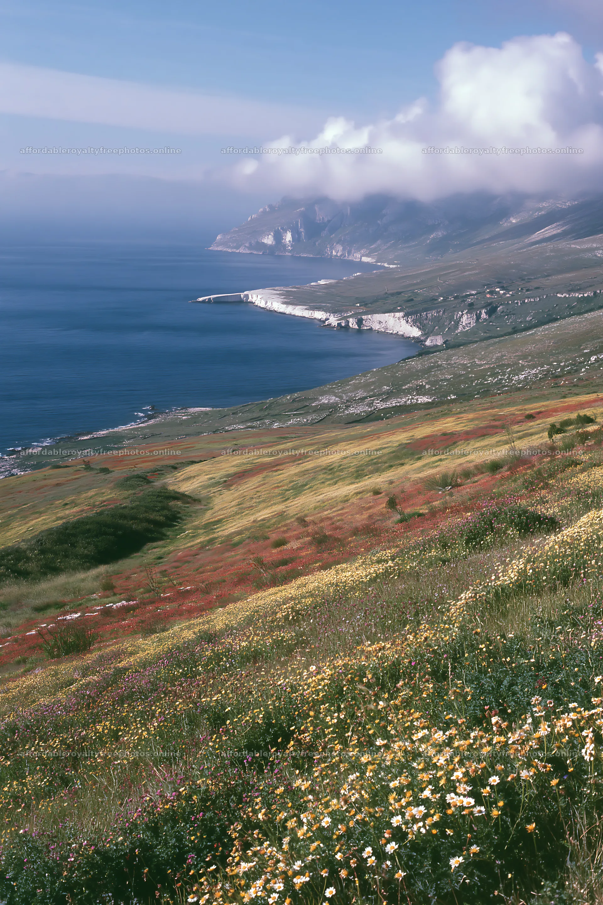 Italian meadow along rocky coast captures vibrant ocean – royalty-free photos 6480x9722
