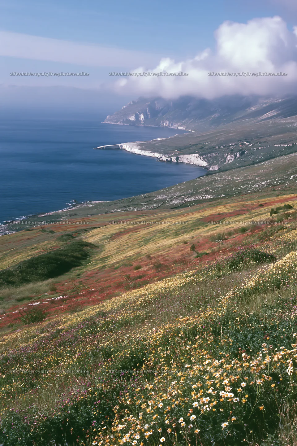 Italian meadow along rocky coast captures vibrant ocean – royalty-free photos 6480x9722