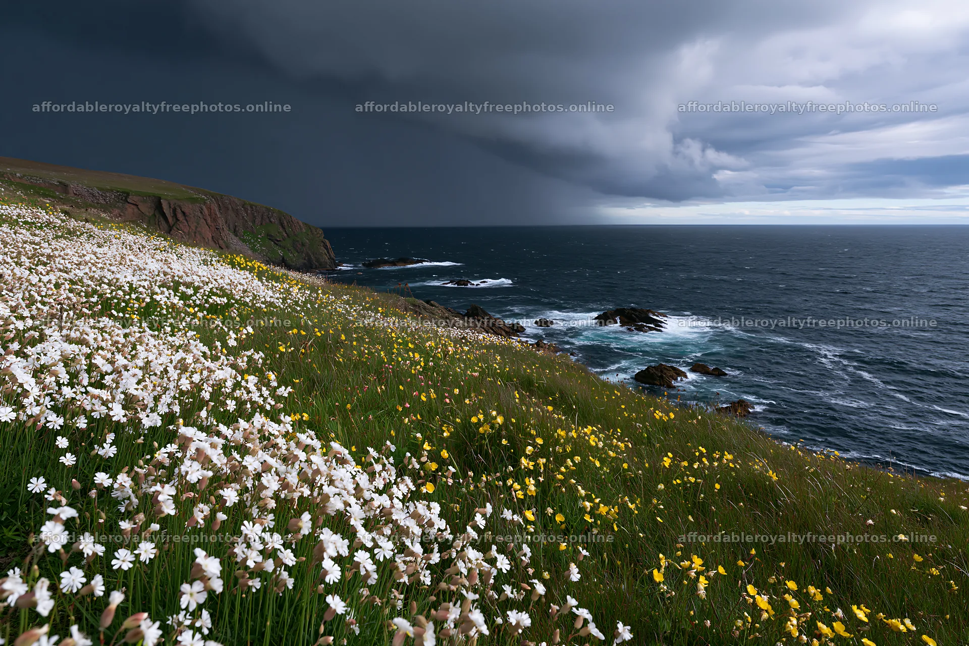 Clifftop meadow overlooking the ocean with dark clouds – royalty-free photos 9722x6480