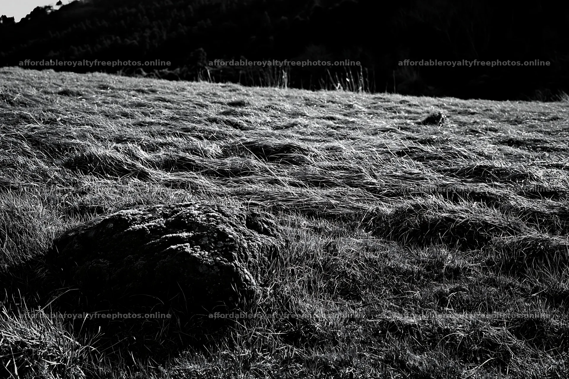 Miyagi spring recovery meadow mossy stone in natural – royalty-free photos 9722x6480