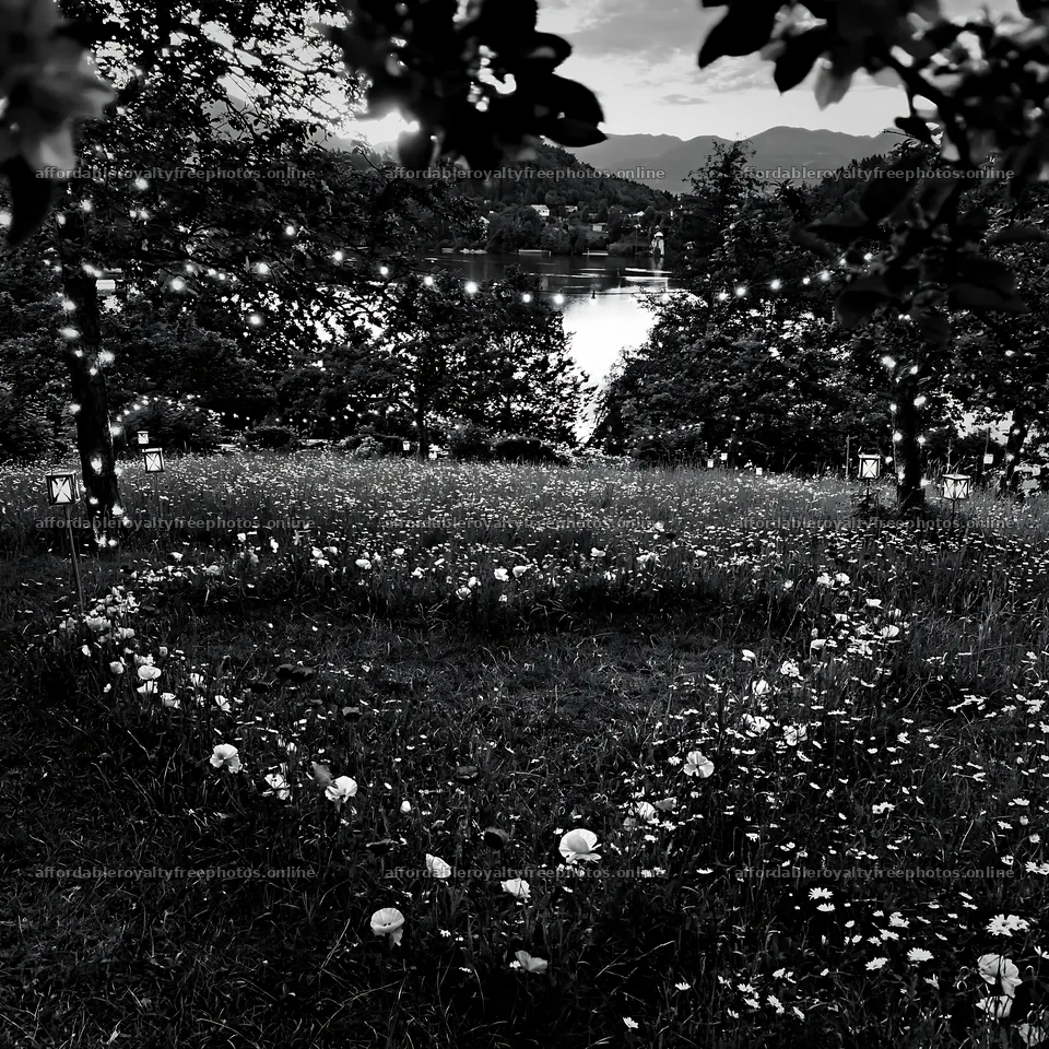 Christmas meadow with apple trees and lanterns at Lake – royalty-free photos 7938x7938