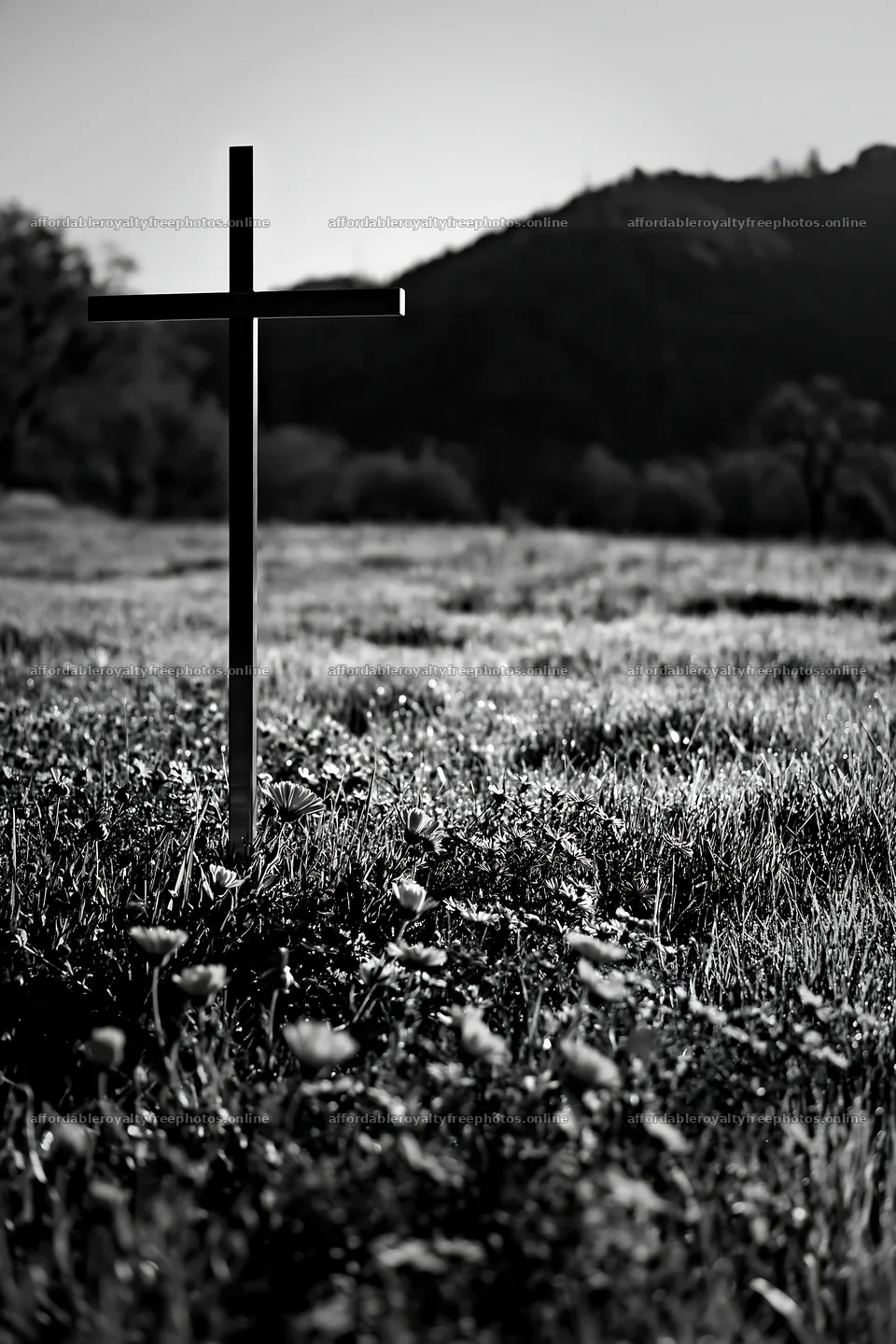 Simple Christian cross in meadow with grass and flowers – royalty-free photos 6480x9722