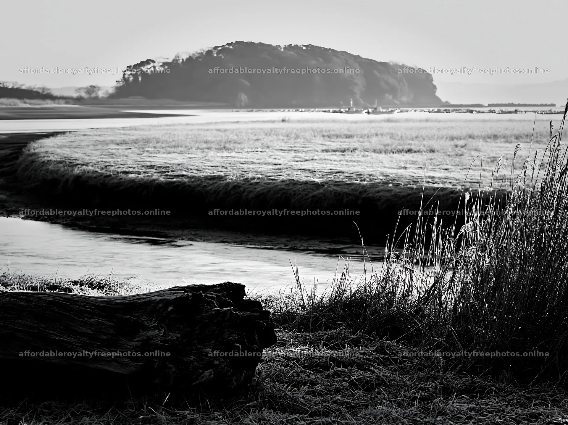 Nagasaki coastal meadow driftwood foreground mood – royalty-free photos 9174x6866