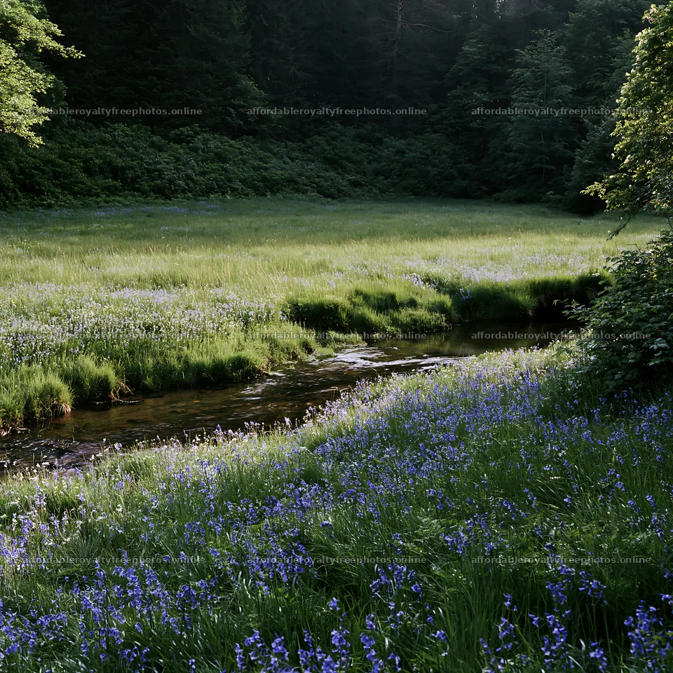 High contrast stream meadow with wildflowers and trees – royalty-free photos 7938x7938