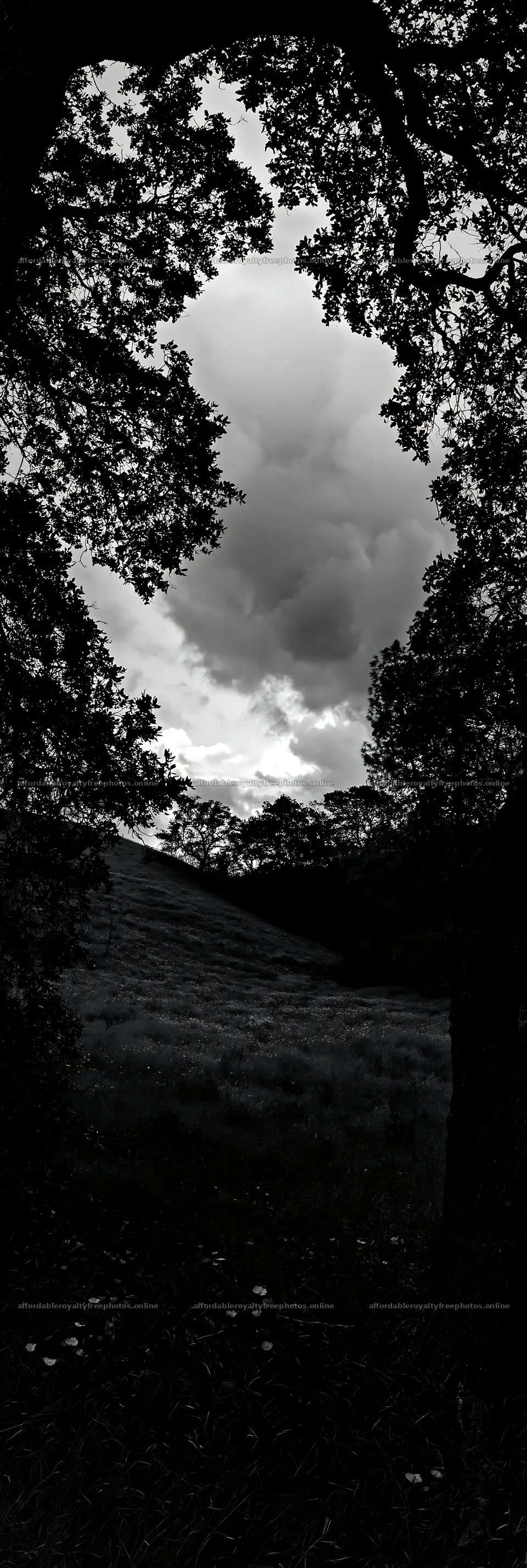 Cloudy foothill meadow framed by trees – royalty-free photos 4602x13690