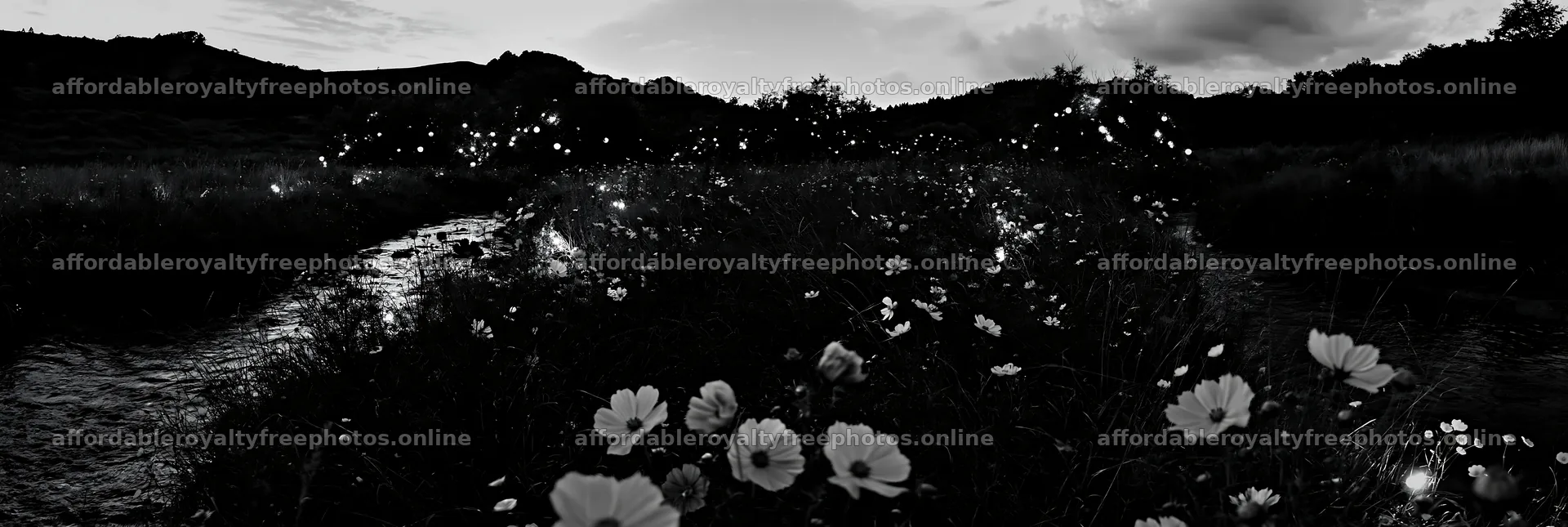 Christmas lights at dusk beside stream in meadow – royalty-free photos 13690x4602