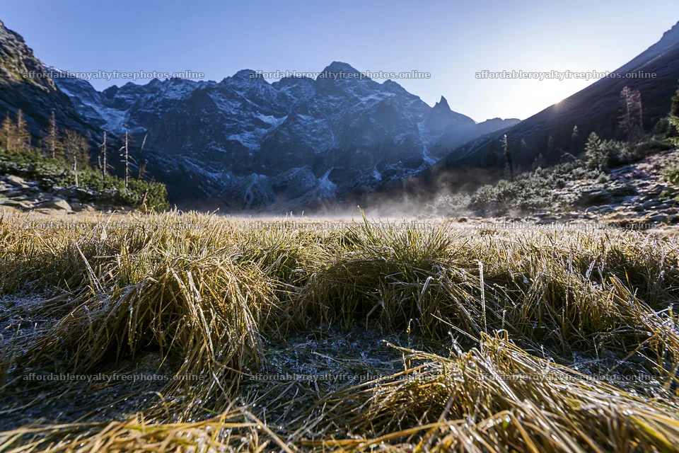 Meadow in a rolling valley with mountains under morning – royalty-free photos 9722x6480