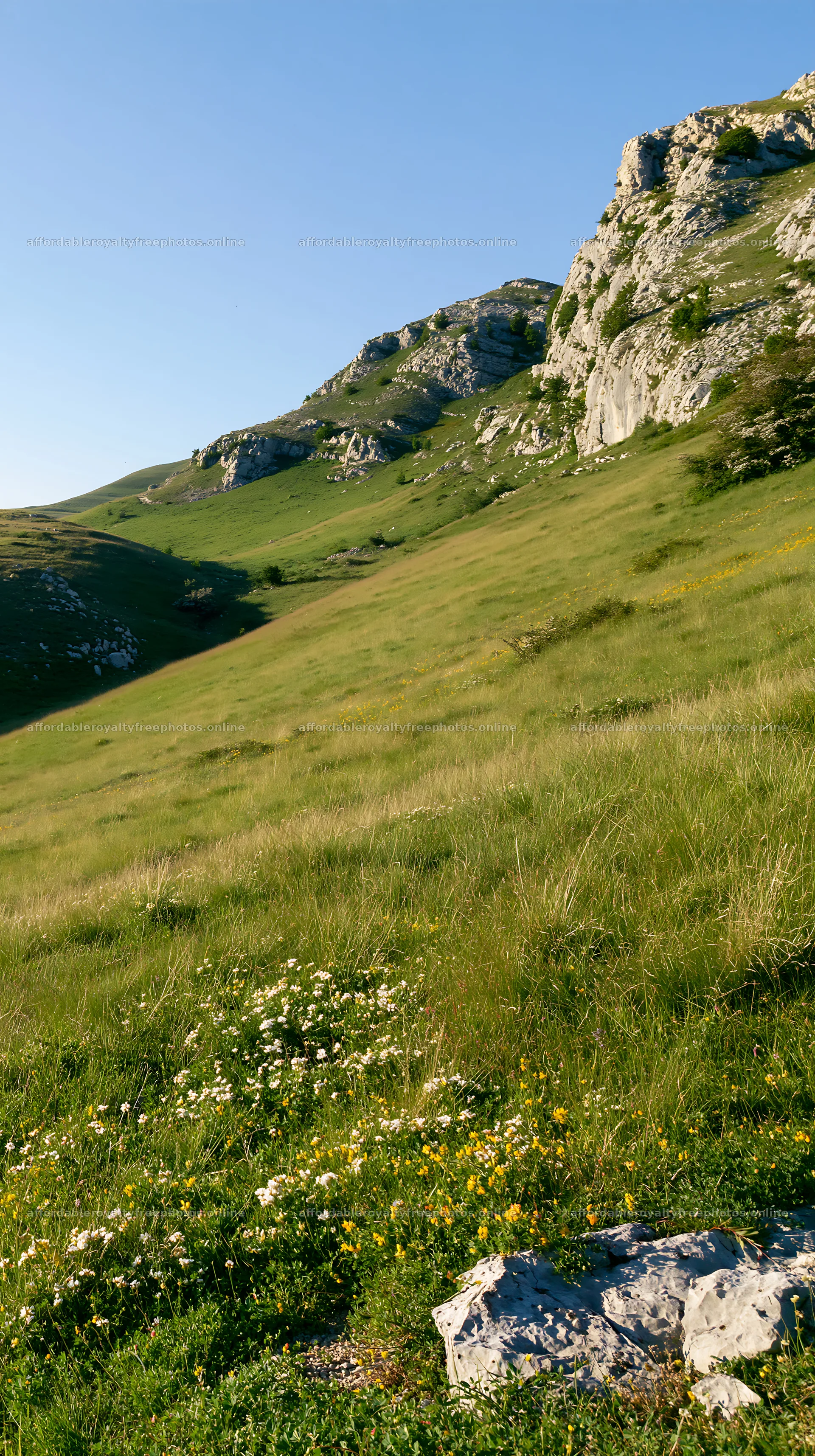 Sunny limestone meadow with hills in the background – royalty-free photos 5938x10608
