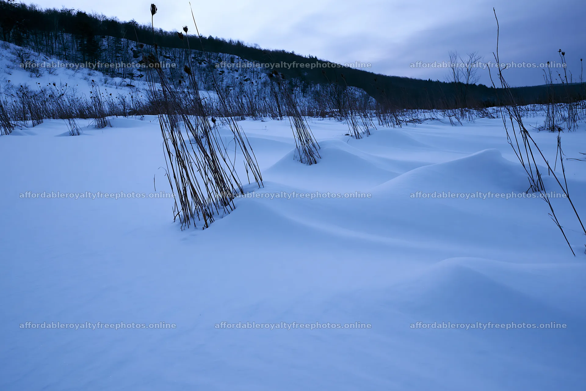 Snowy highland meadow with dried grass in winter – royalty-free photos 9722x6480