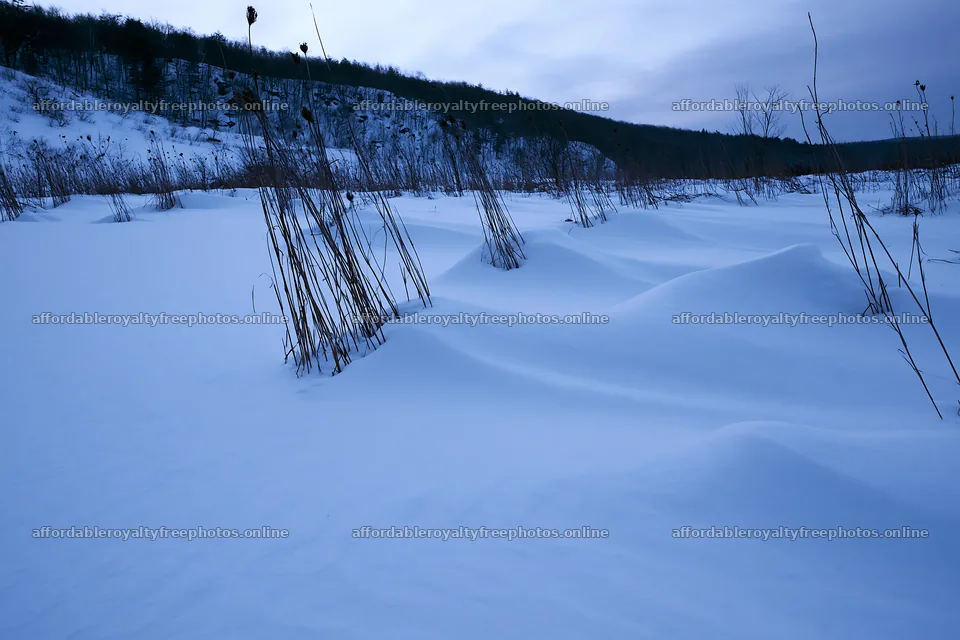 Snowy highland meadow with dried grass in winter – royalty-free photos 9722x6480