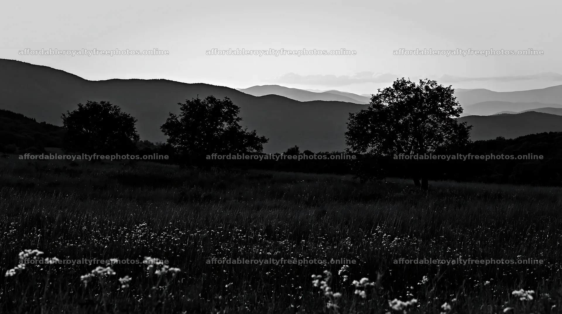 Highland apple meadow with trees and distant mountains – royalty-free photos 10608x5938
