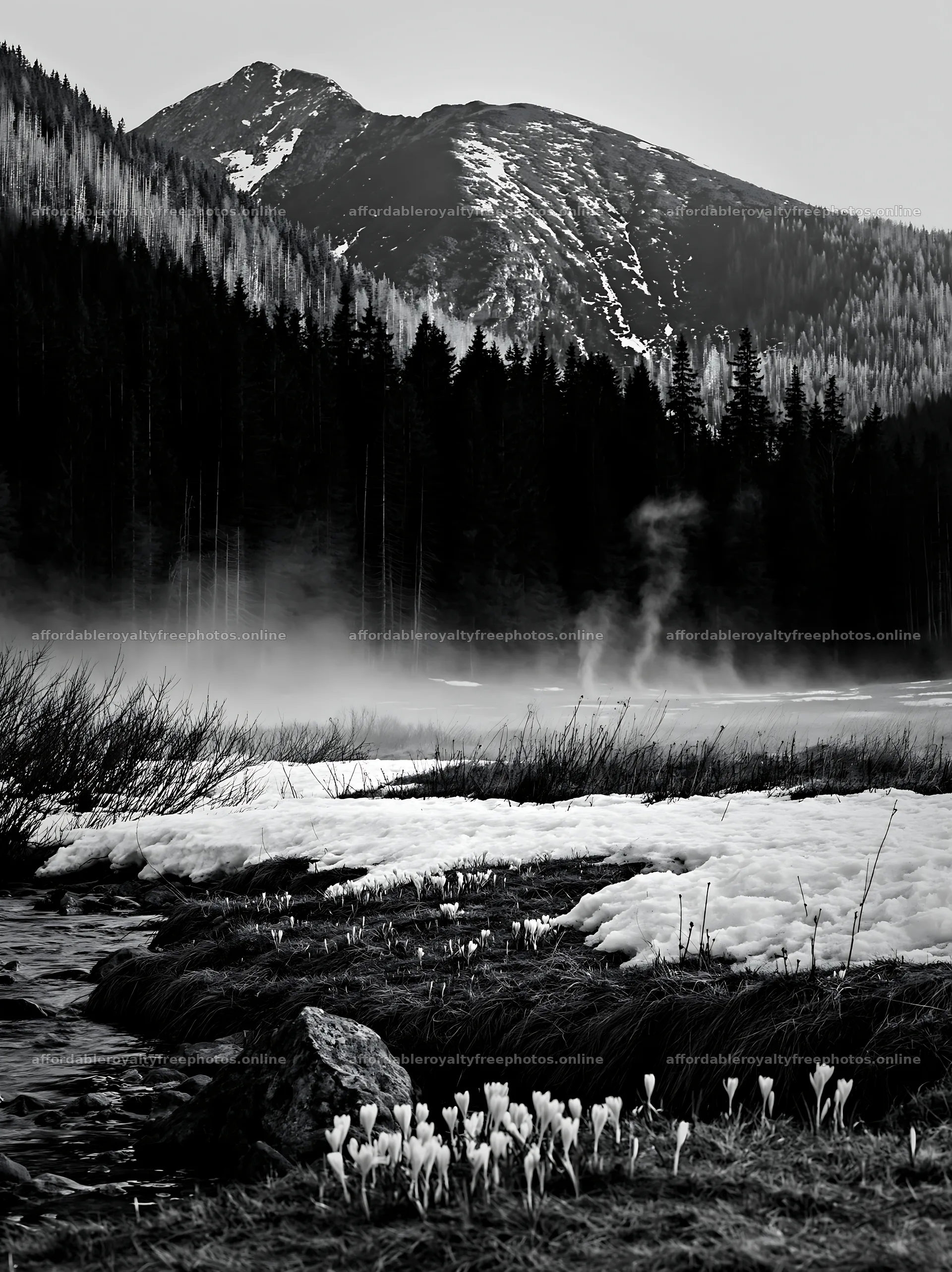 Snowmelt flows through meadow with mountains in – royalty-free photos 6866x9174