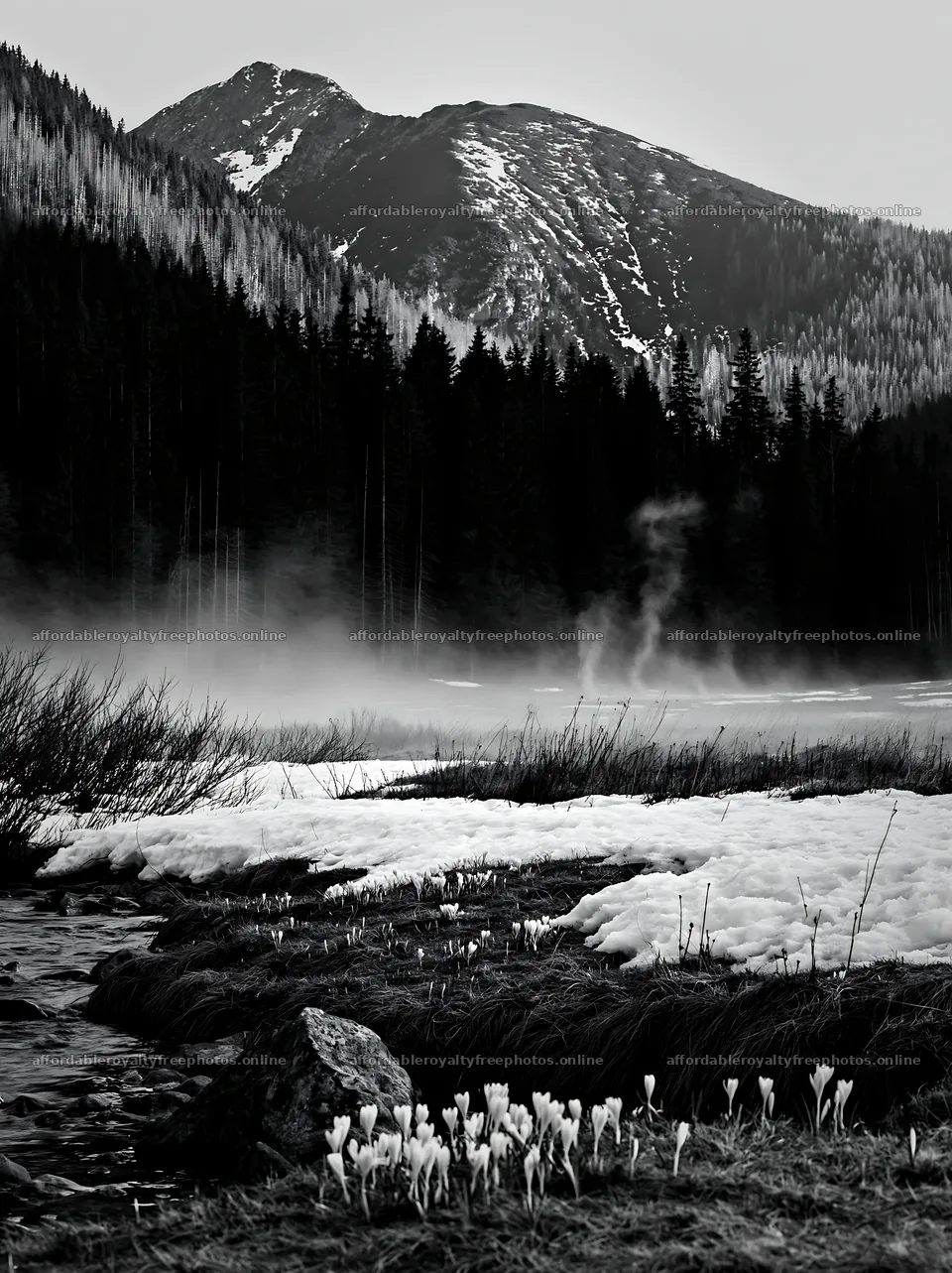 Snowmelt flows through meadow with mountains in – royalty-free photos 6866x9174