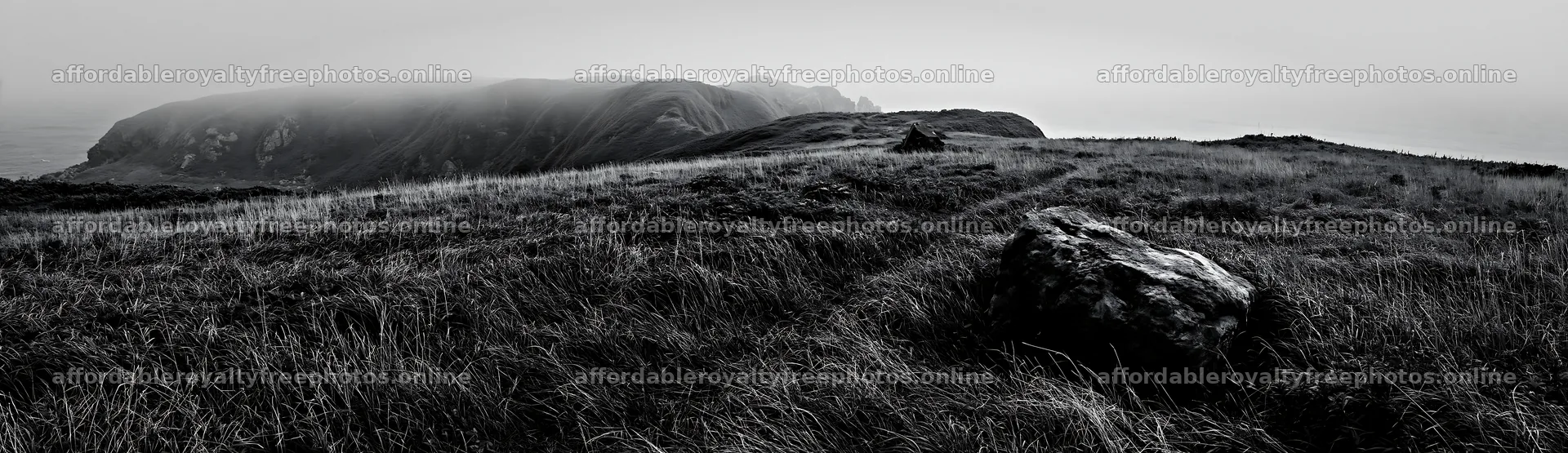 Aomori climate resilient meadow with boulder in green – royalty-free photos 14762x4268