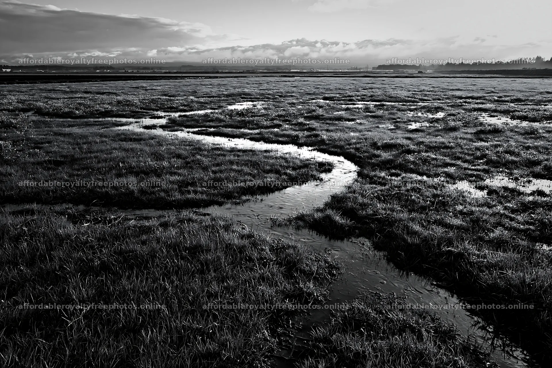 Niigata floodplain meadow with dew in foreground at – royalty-free photos 9722x6480