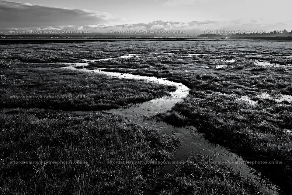 Niigata floodplain meadow with dew in foreground at – royalty-free photos 9722x6480