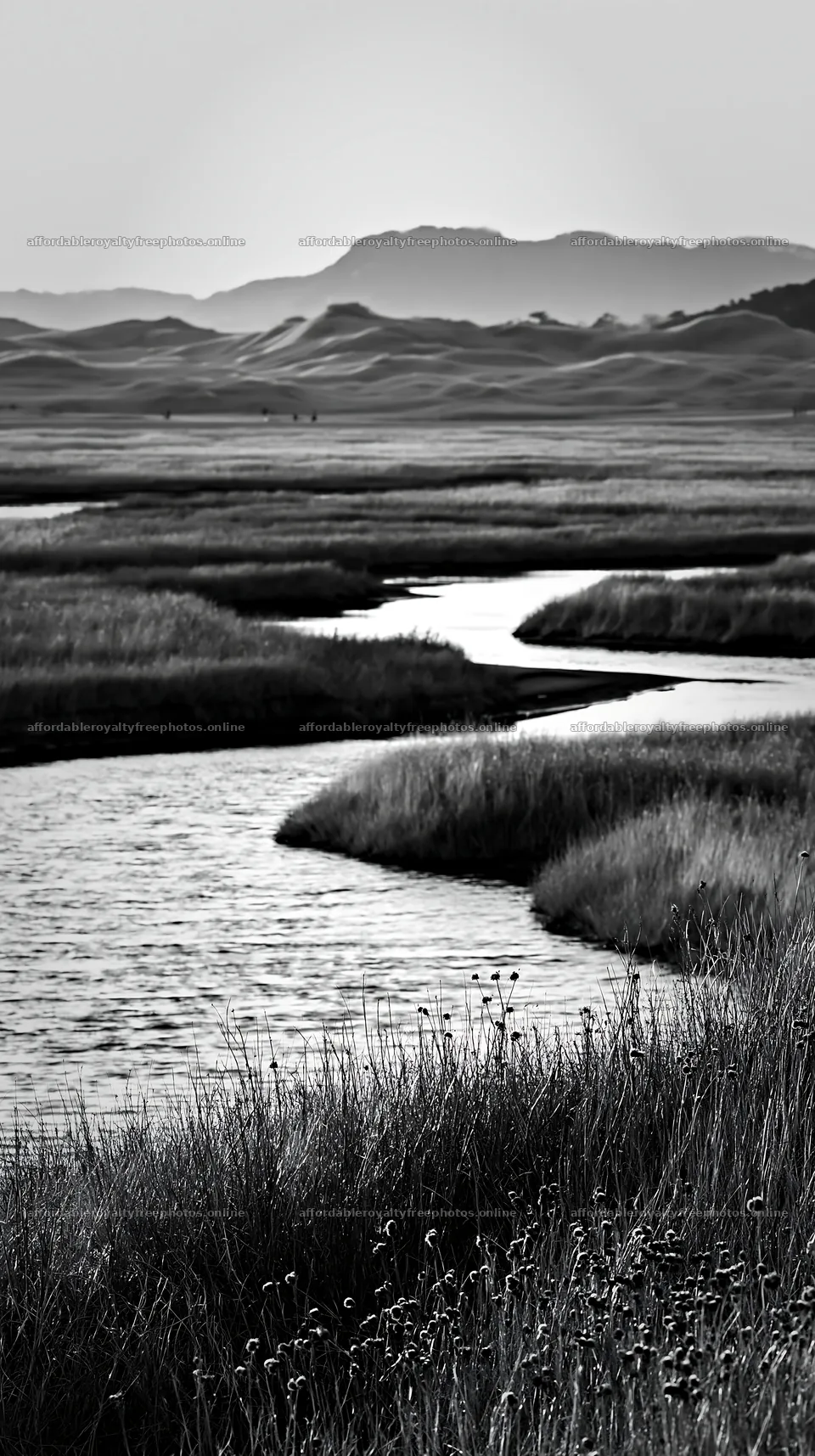 Tottori windy meadow with dune grasses and flowing water – royalty-free photos 5938x10608