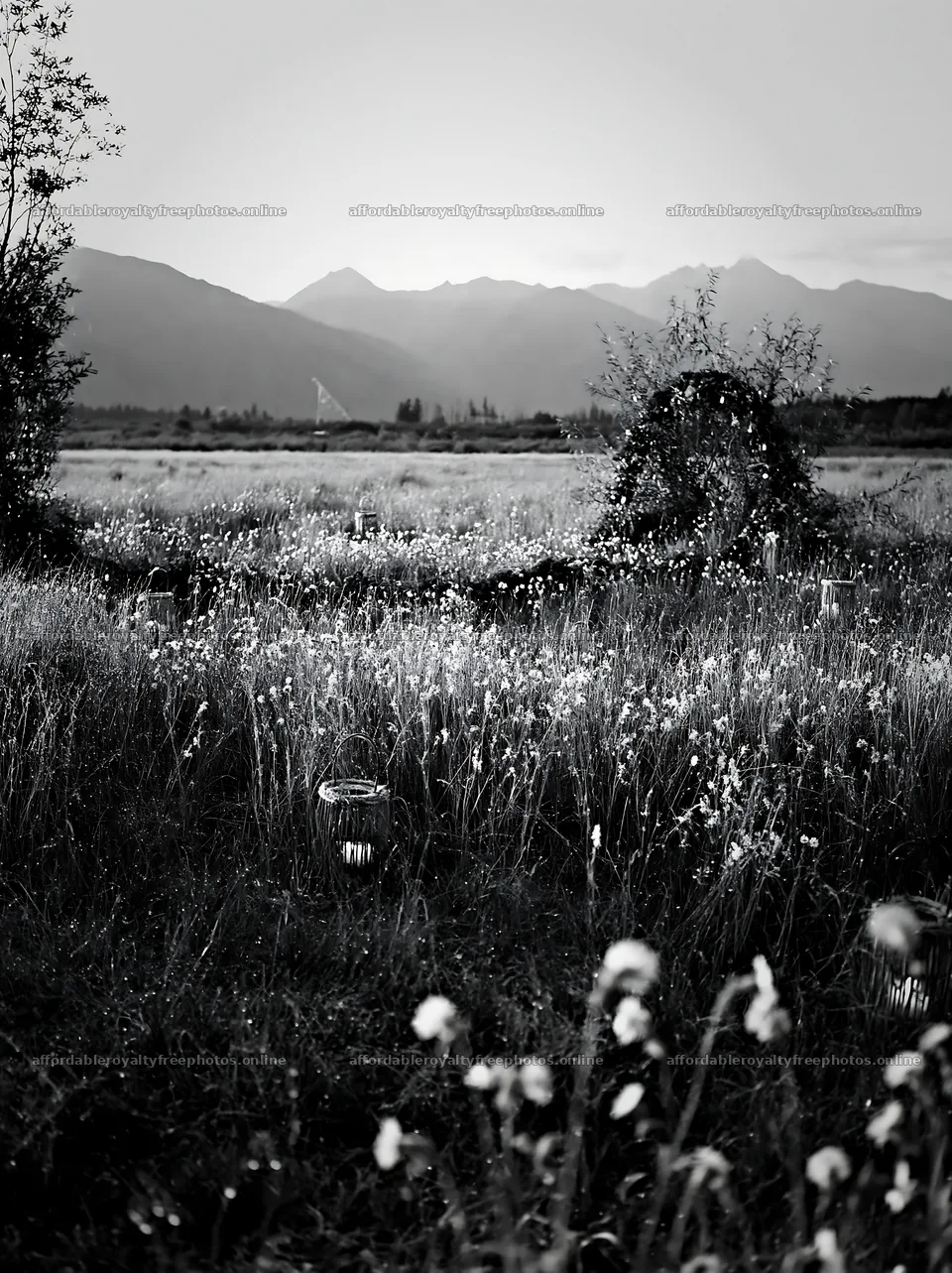 Vast Christmas meadow wreath in Tatra Mountains – royalty-free photos 6866x9174