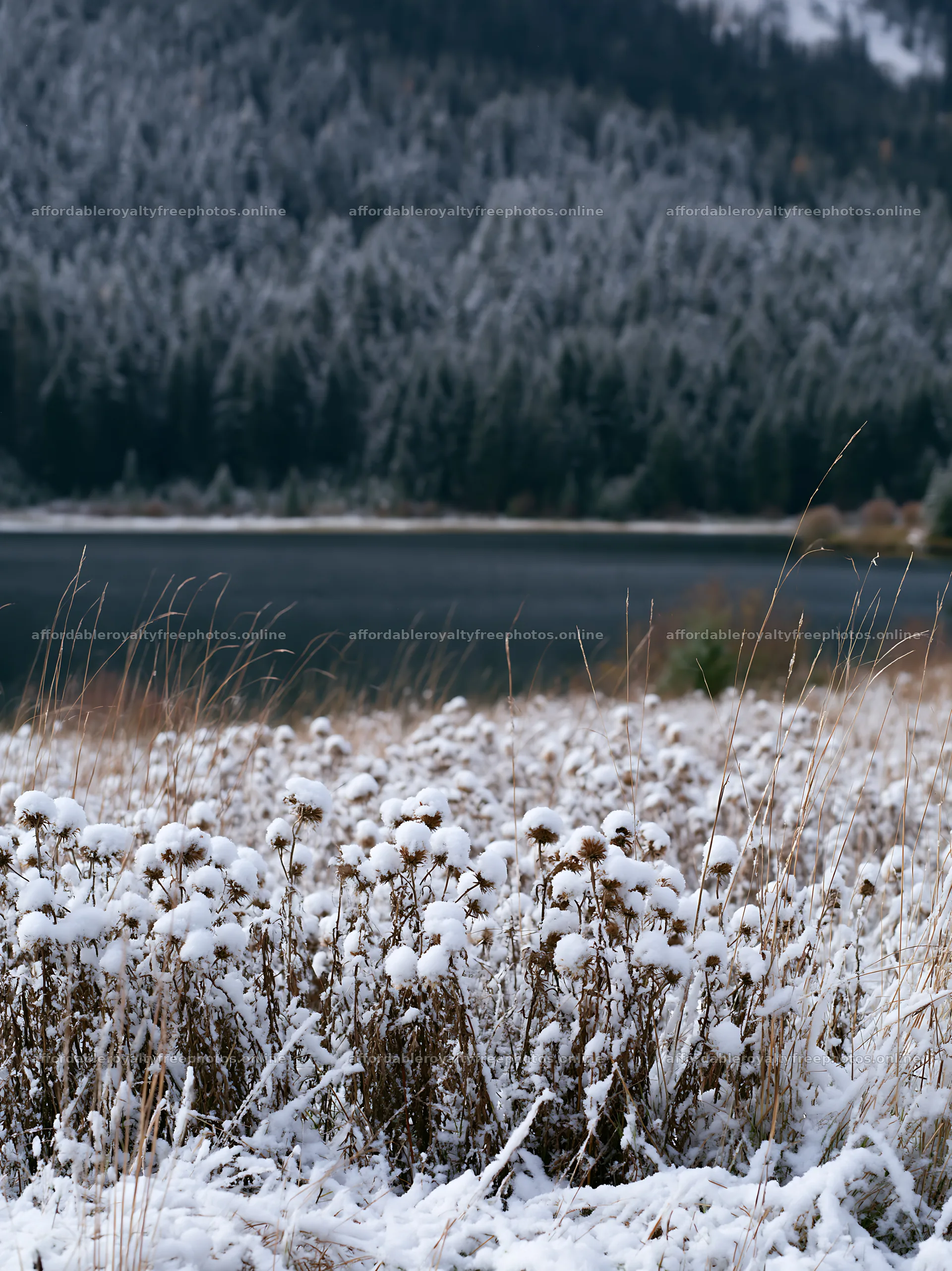 Lakeside meadow covered in snow after first winter – royalty-free photos 6866x9174