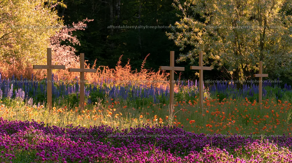 Wooden crosses in a meadow with flowers and trees – royalty-free photos 10608x5938