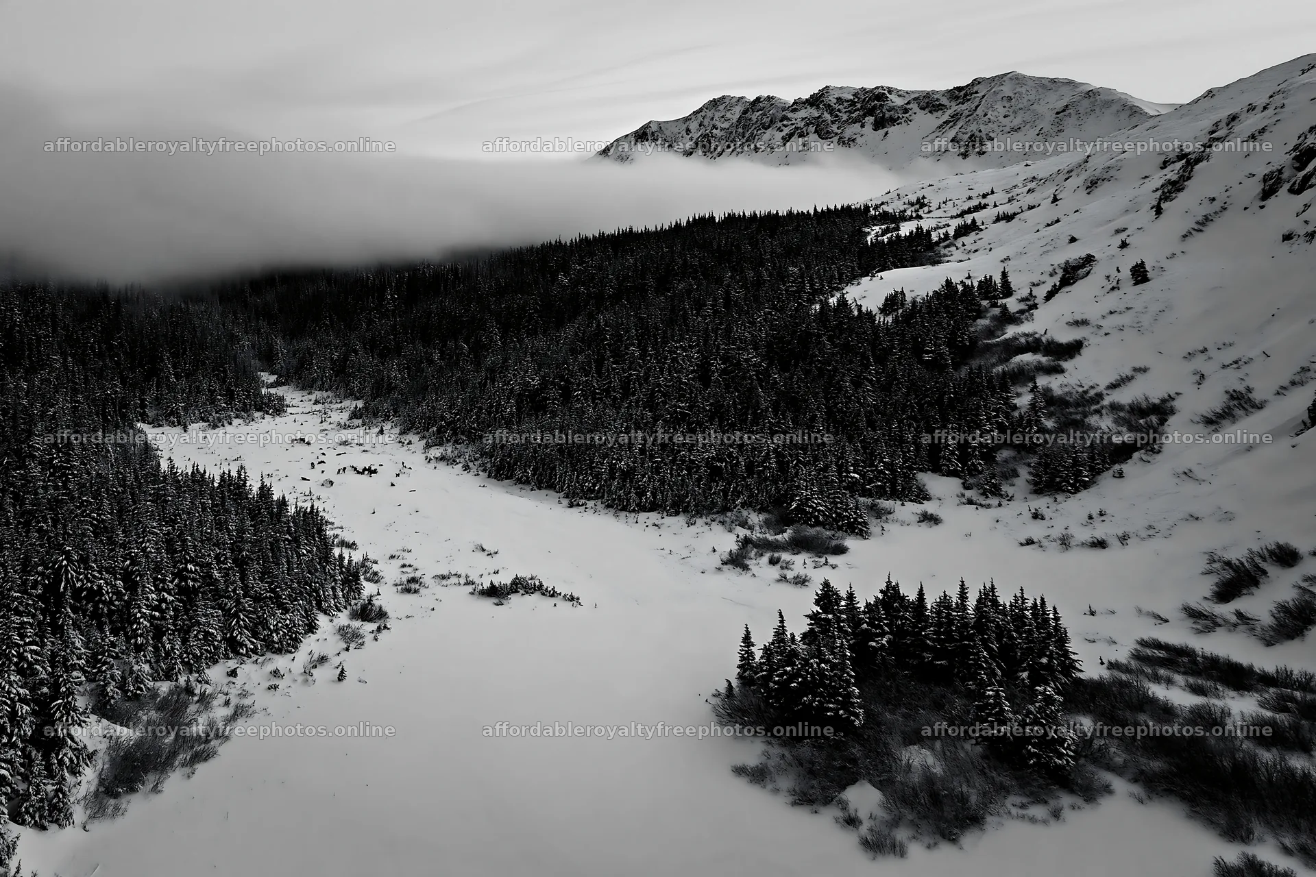 Aerial view of a snowy meadow and valley with trees – royalty-free photos 9722x6480