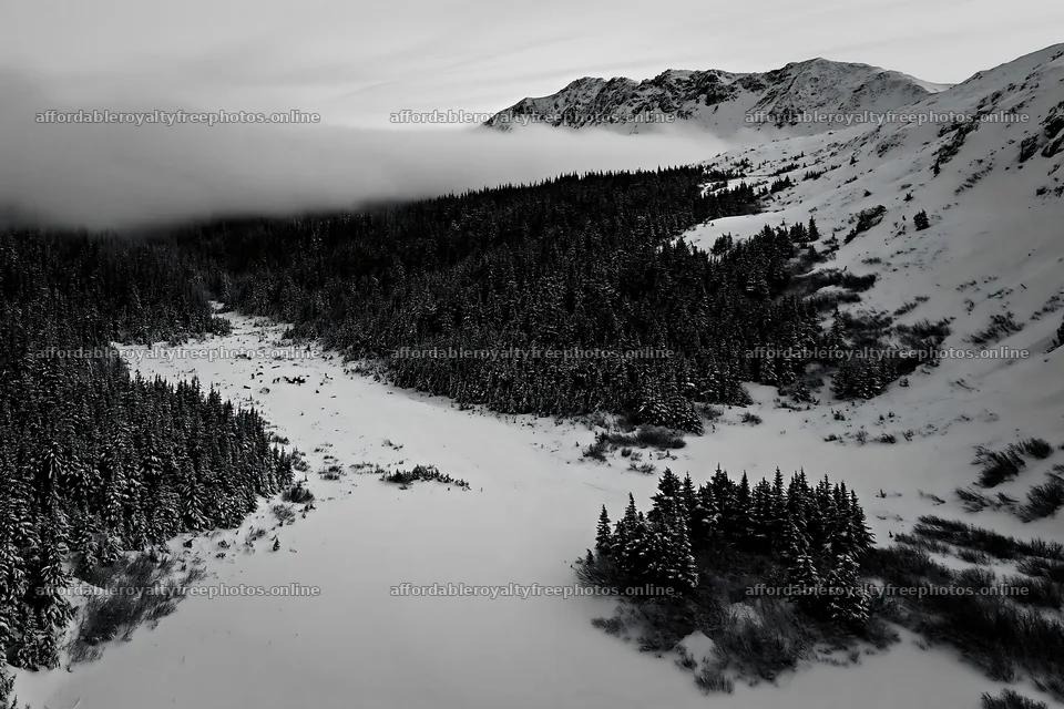 Aerial view of a snowy meadow and valley with trees – royalty-free photos 9722x6480