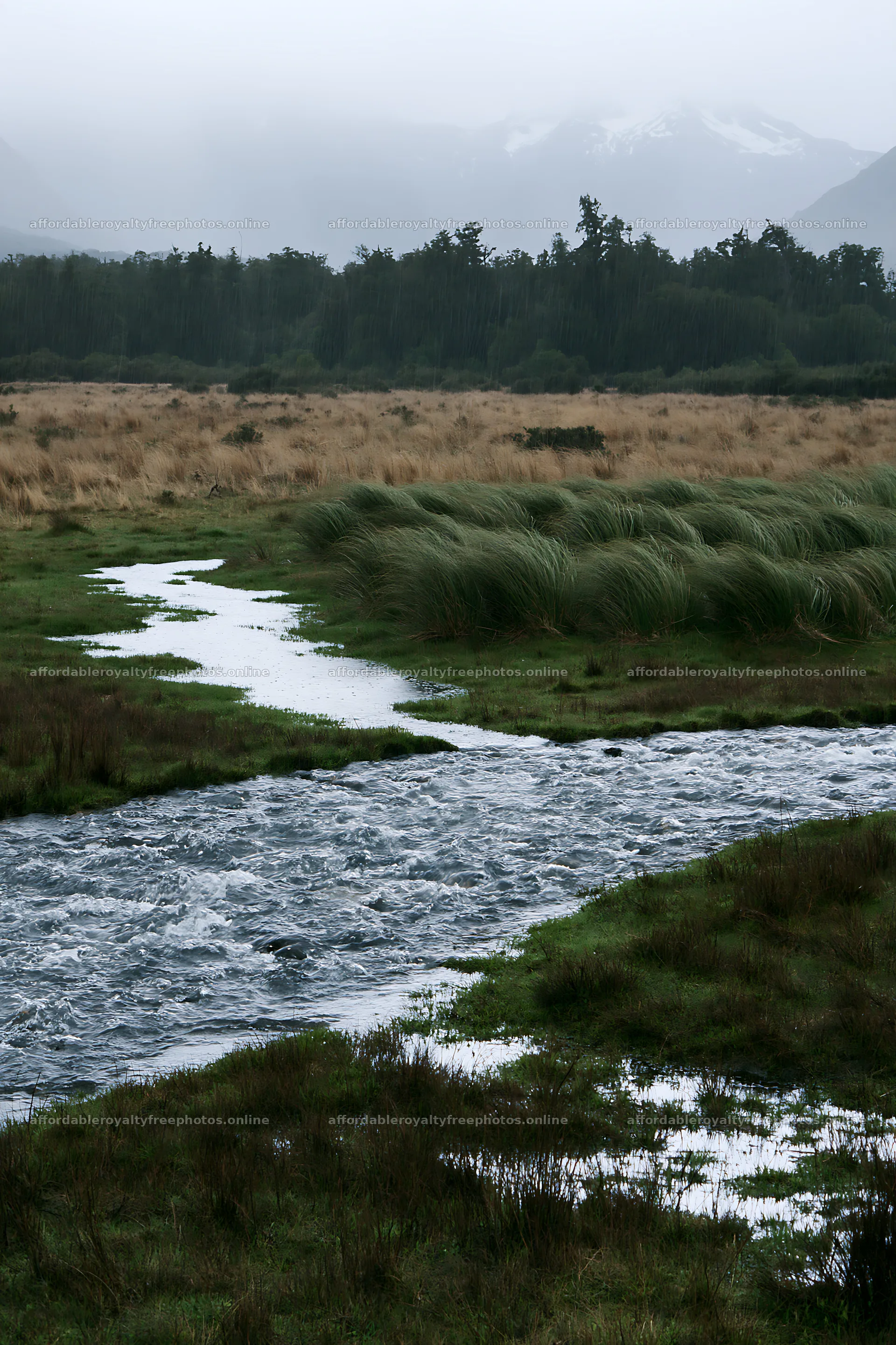 Snowmelt stream flowing through a meadow landscape – royalty-free photos 6480x9722