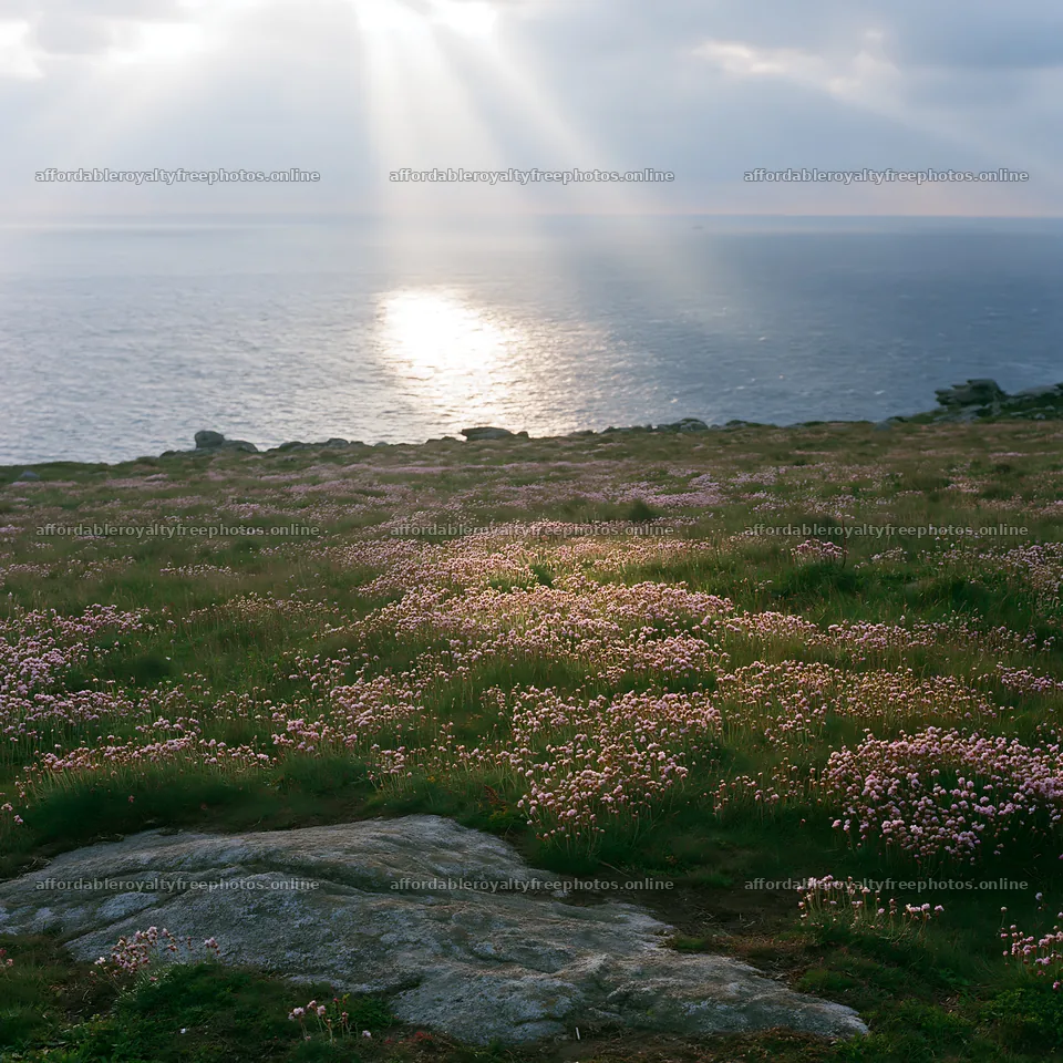 Crepuscular rays illuminate a meadow by the ocean – royalty-free photos 7938x7938