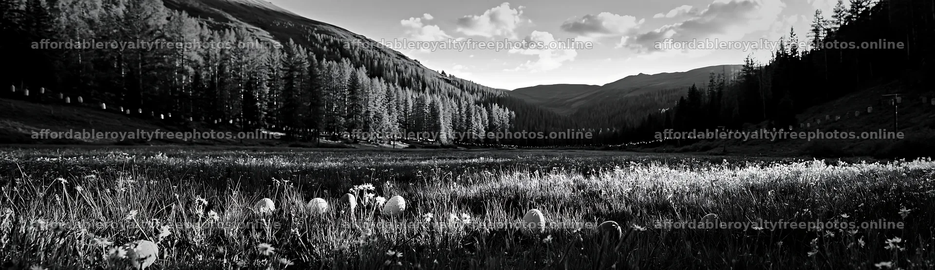 Christmas lanterns in deep mountain valley meadow – royalty-free photos 14762x4268