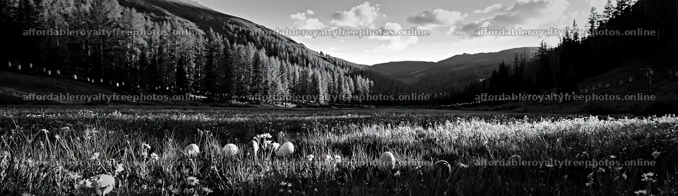 Christmas lanterns in deep mountain valley meadow – royalty-free photos 14762x4268