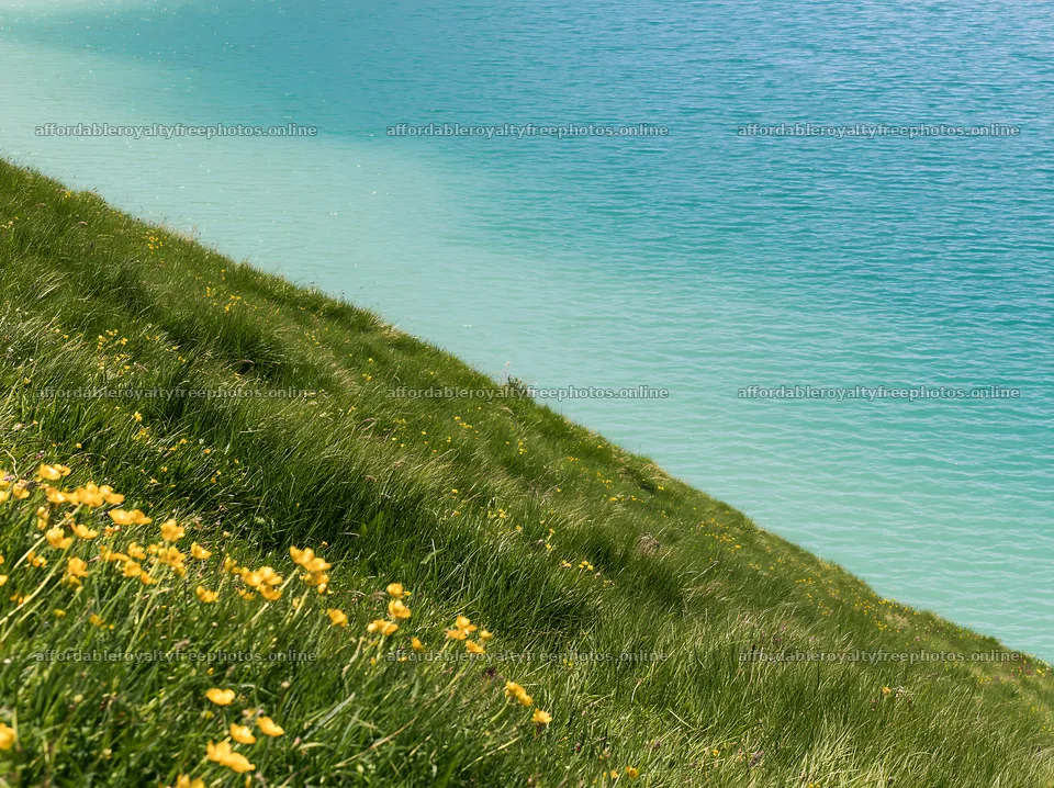 Swiss meadow by alpine lake with wildflowers and blue – royalty-free photos 9174x6866