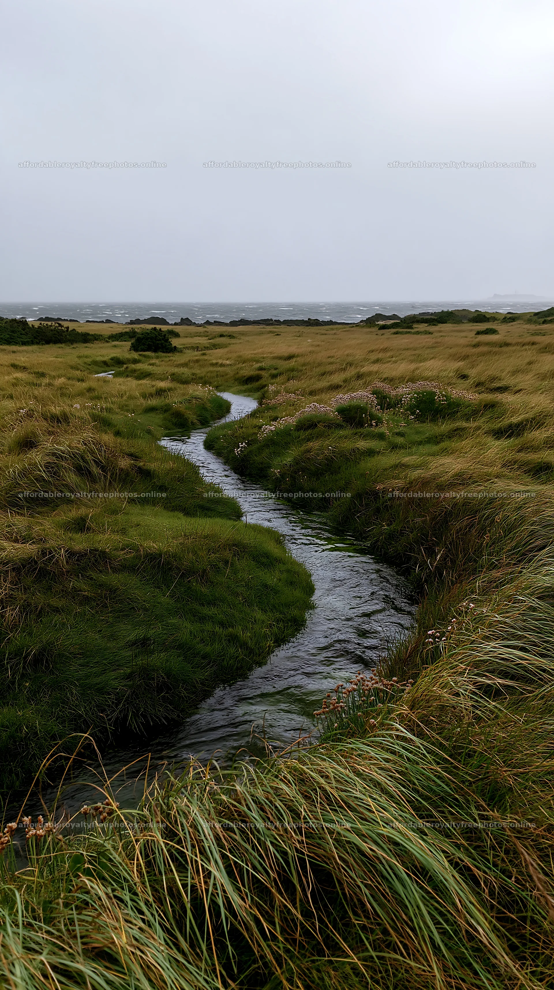 High contrast winding stream through a grassy meadow – royalty-free photos 5938x10608