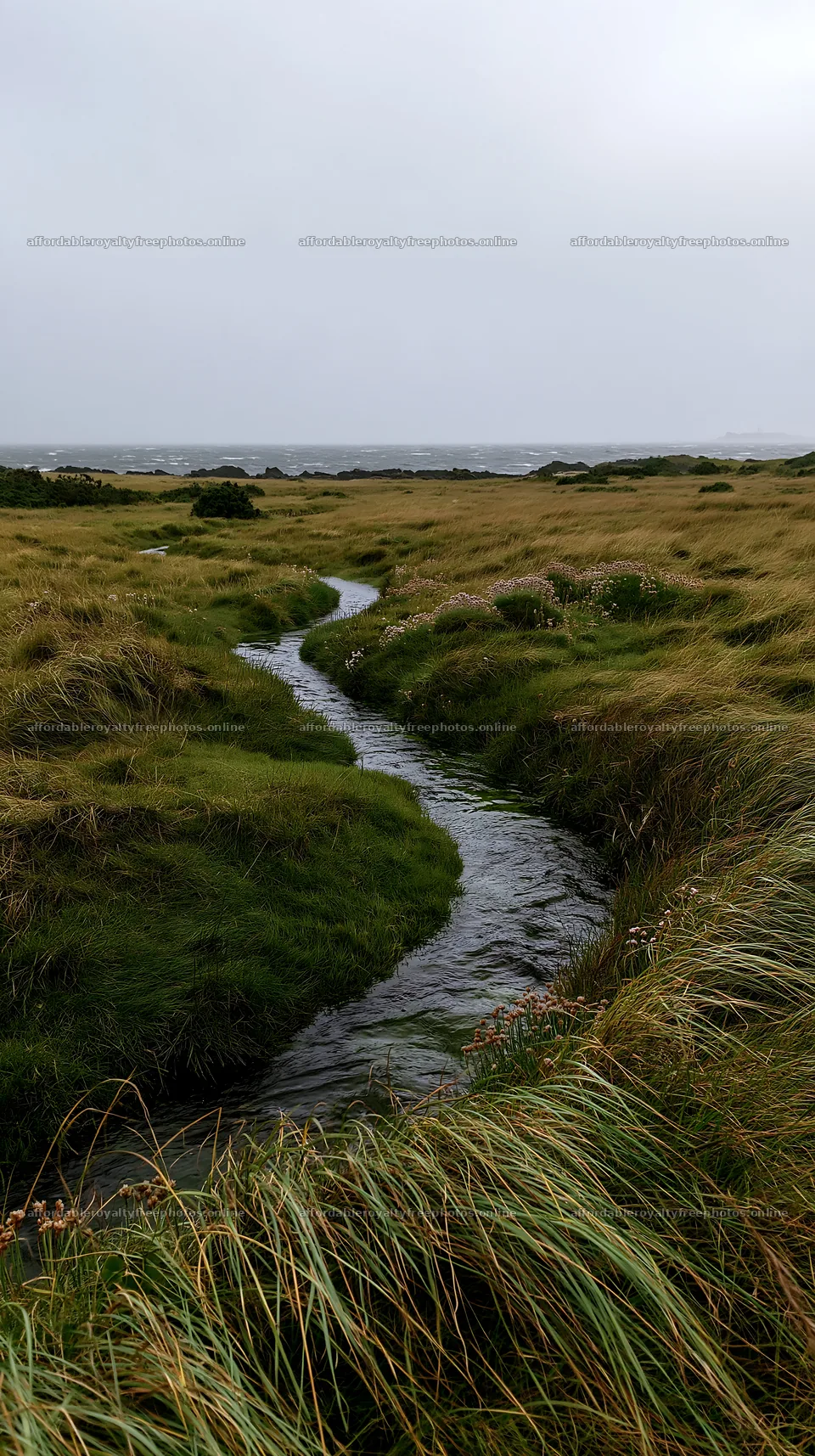 High contrast winding stream through a grassy meadow – royalty-free photos 5938x10608