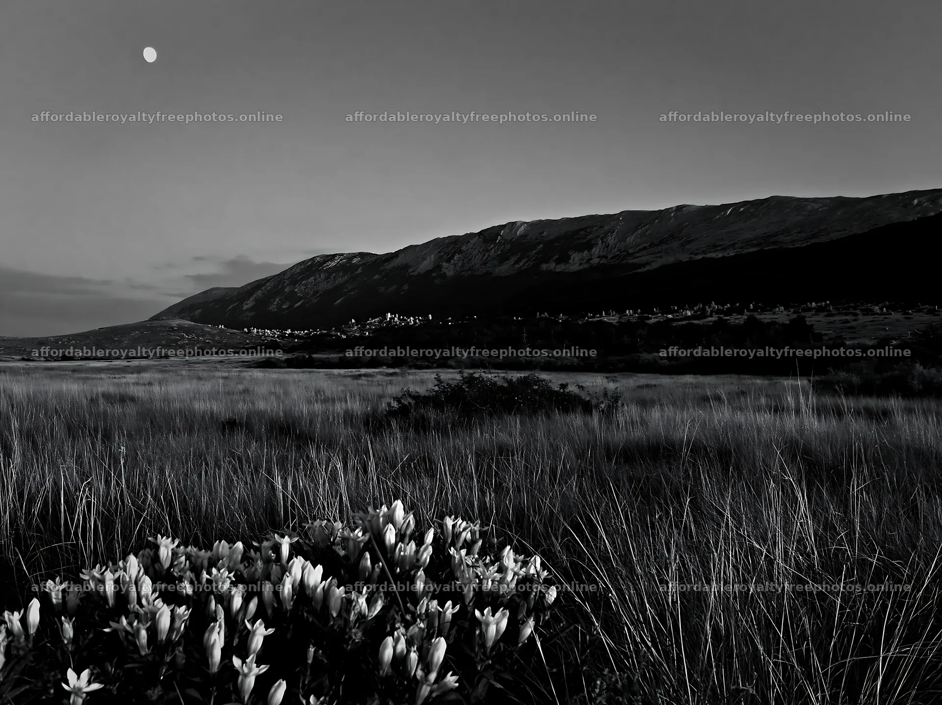 Moonrise over a meadow with flowers and mountains in the – royalty-free photos 9174x6866