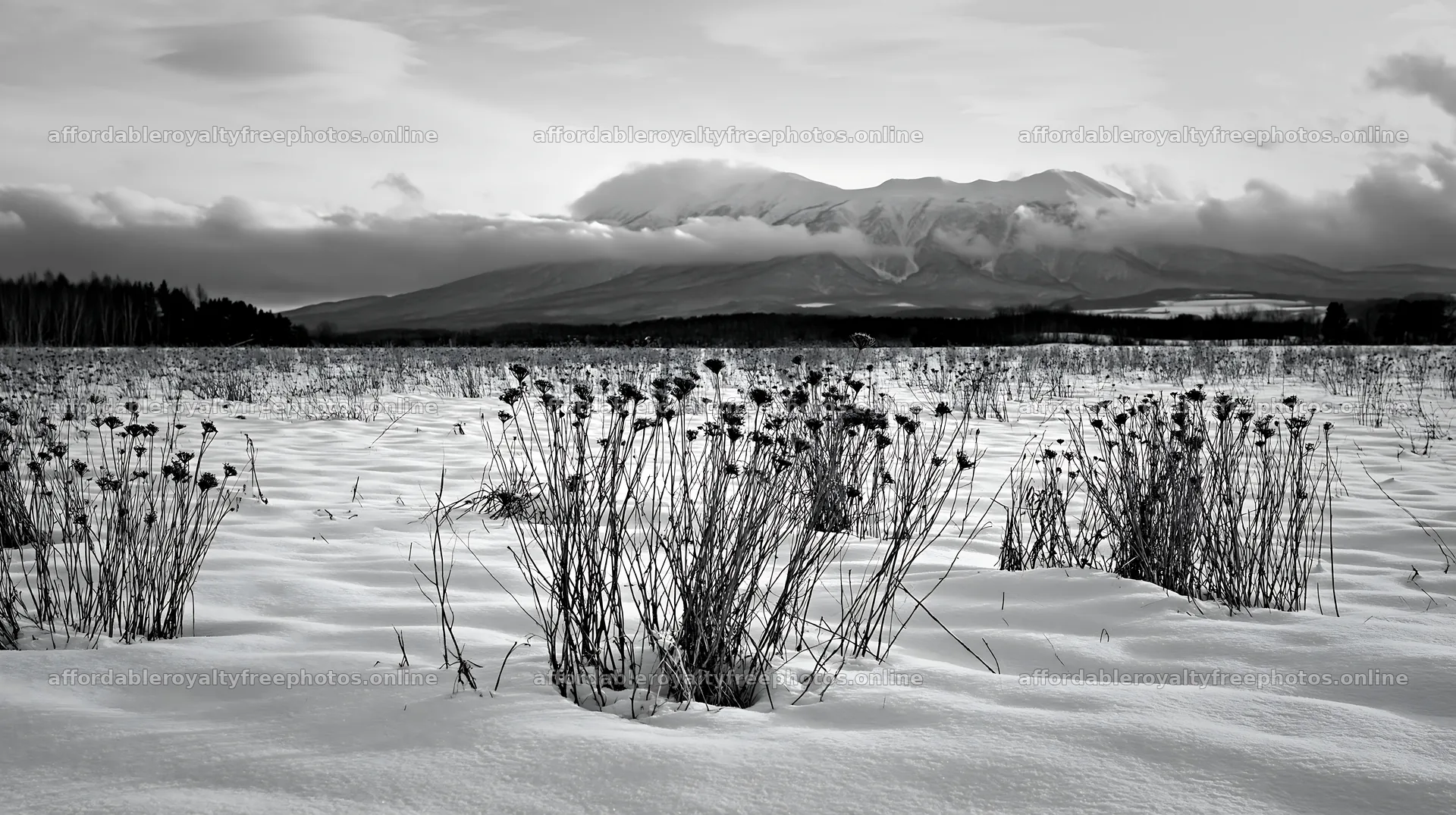Snow covered landscape with Biei hills in winter – royalty-free photos 10608x5938