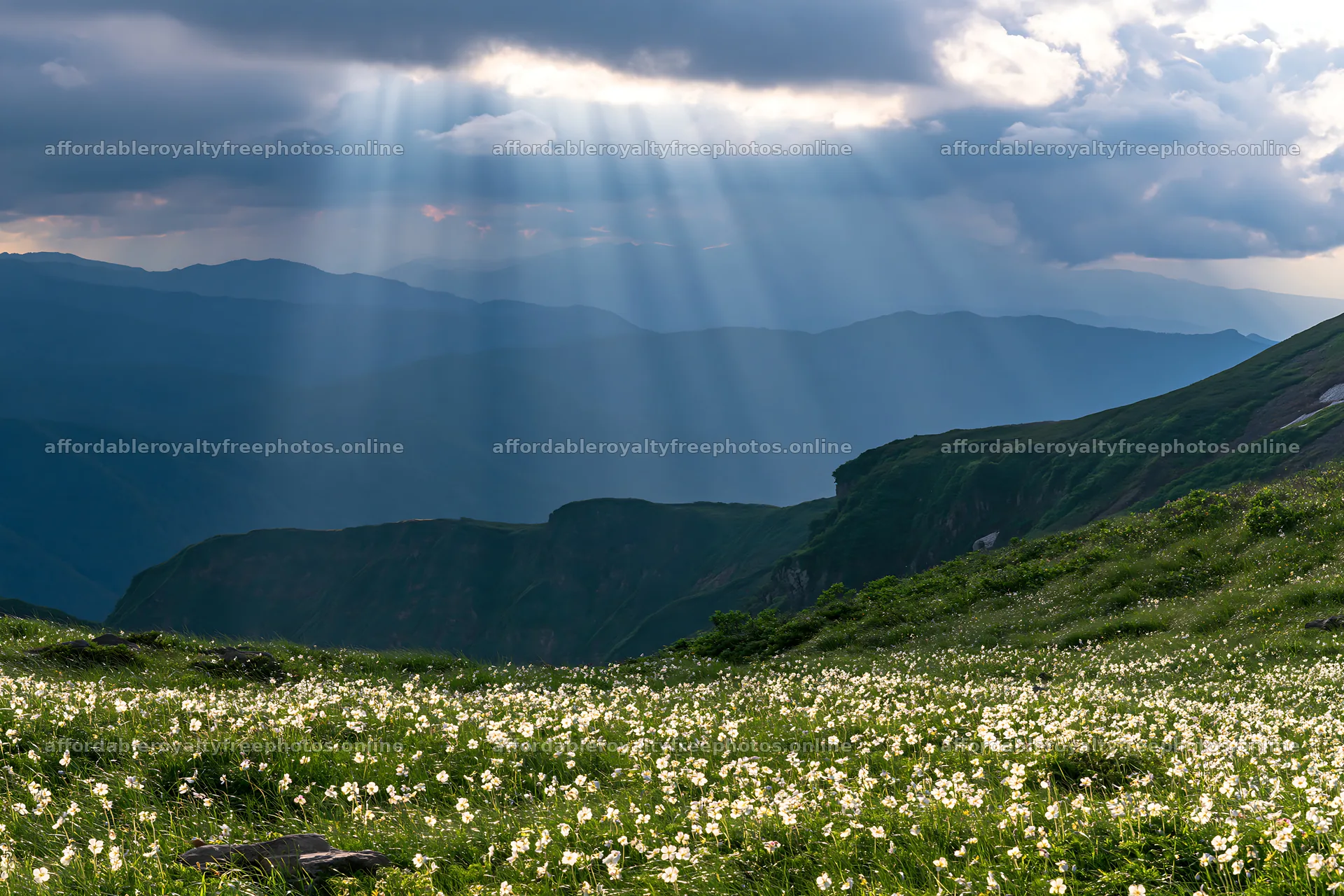 Daisetsuzan alpine meadow with light rays shining down – royalty-free photos 9722x6480