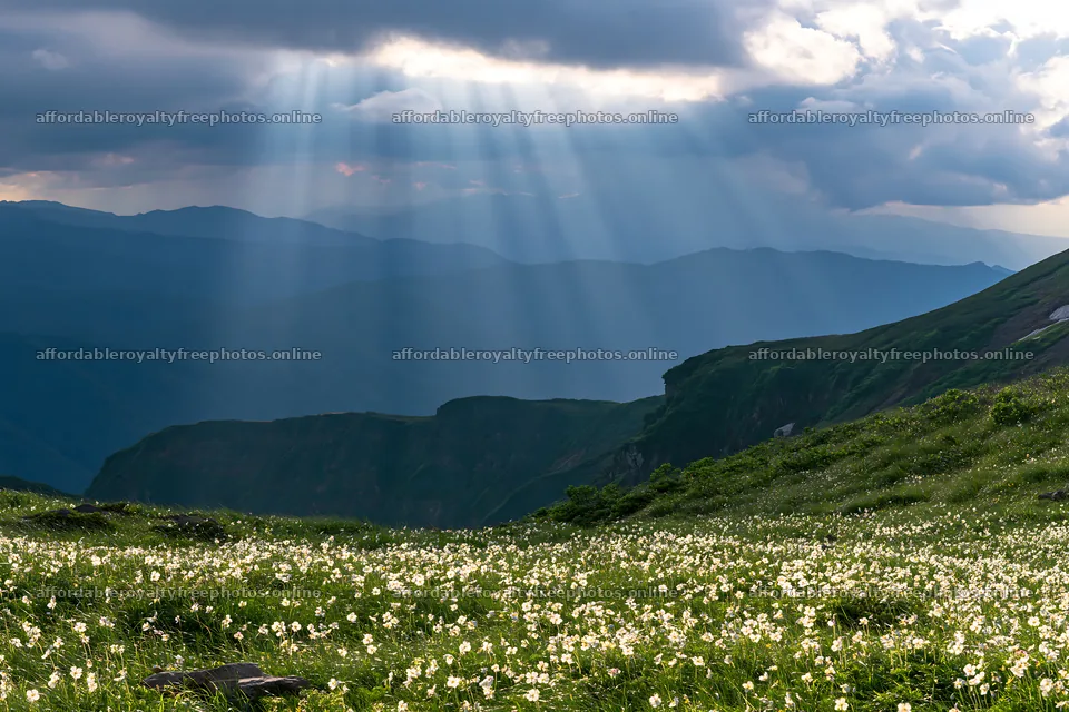 Daisetsuzan alpine meadow with light rays shining down – royalty-free photos 9722x6480