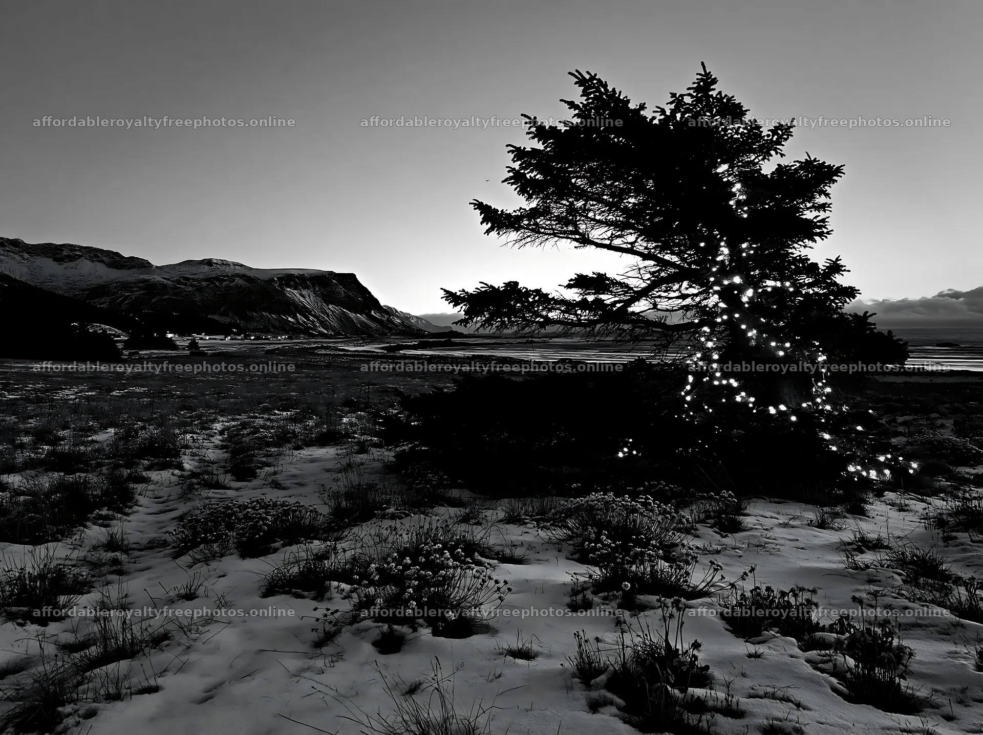 Decorated Christmas tree near snowy meadow and mountains – royalty-free photos 9174x6866
