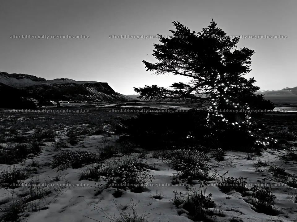 Decorated Christmas tree near snowy meadow and mountains – royalty-free photos 9174x6866